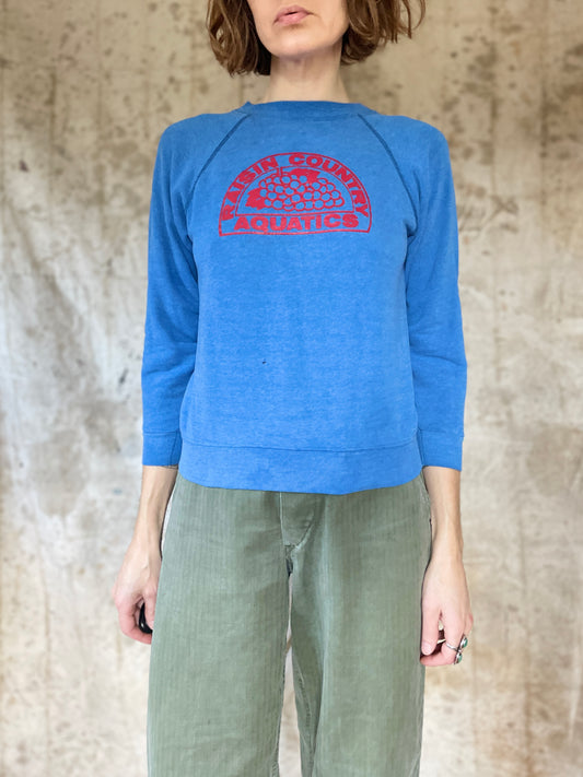 80s Raisin County Aquatics Sweatshirt