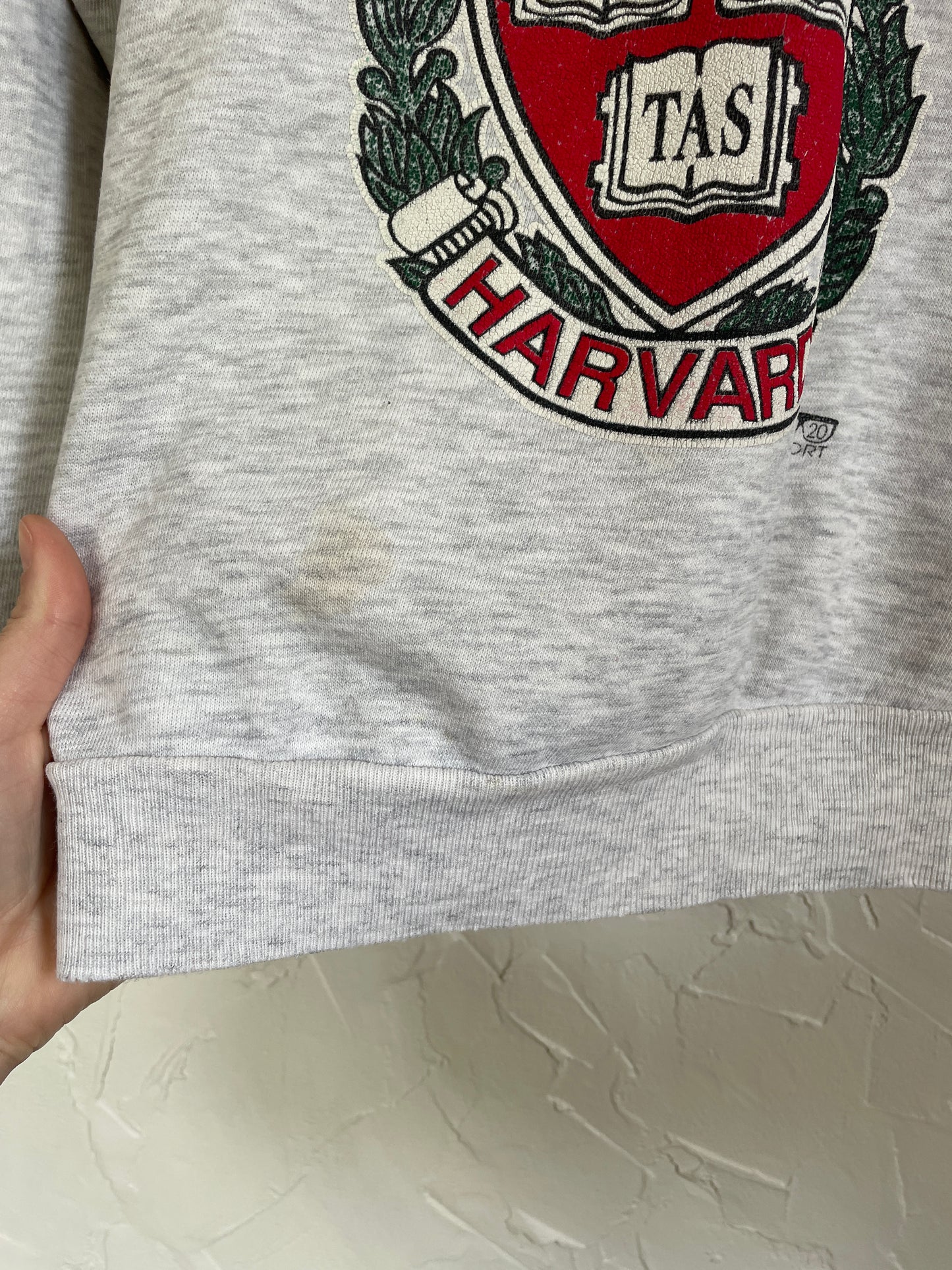 90s Harvard Sweatshirt