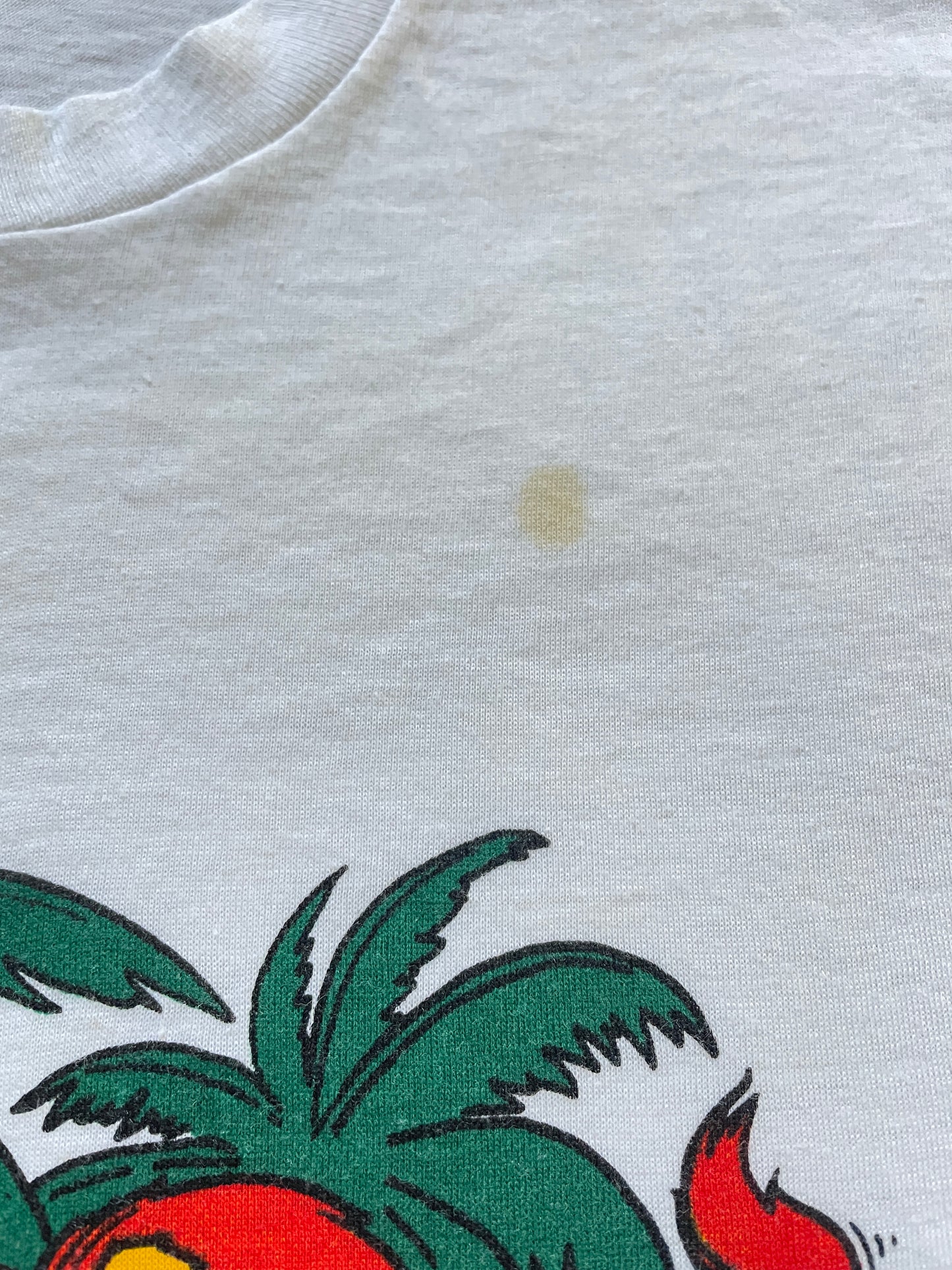 Vintage 80s Lion Country Safari Tee