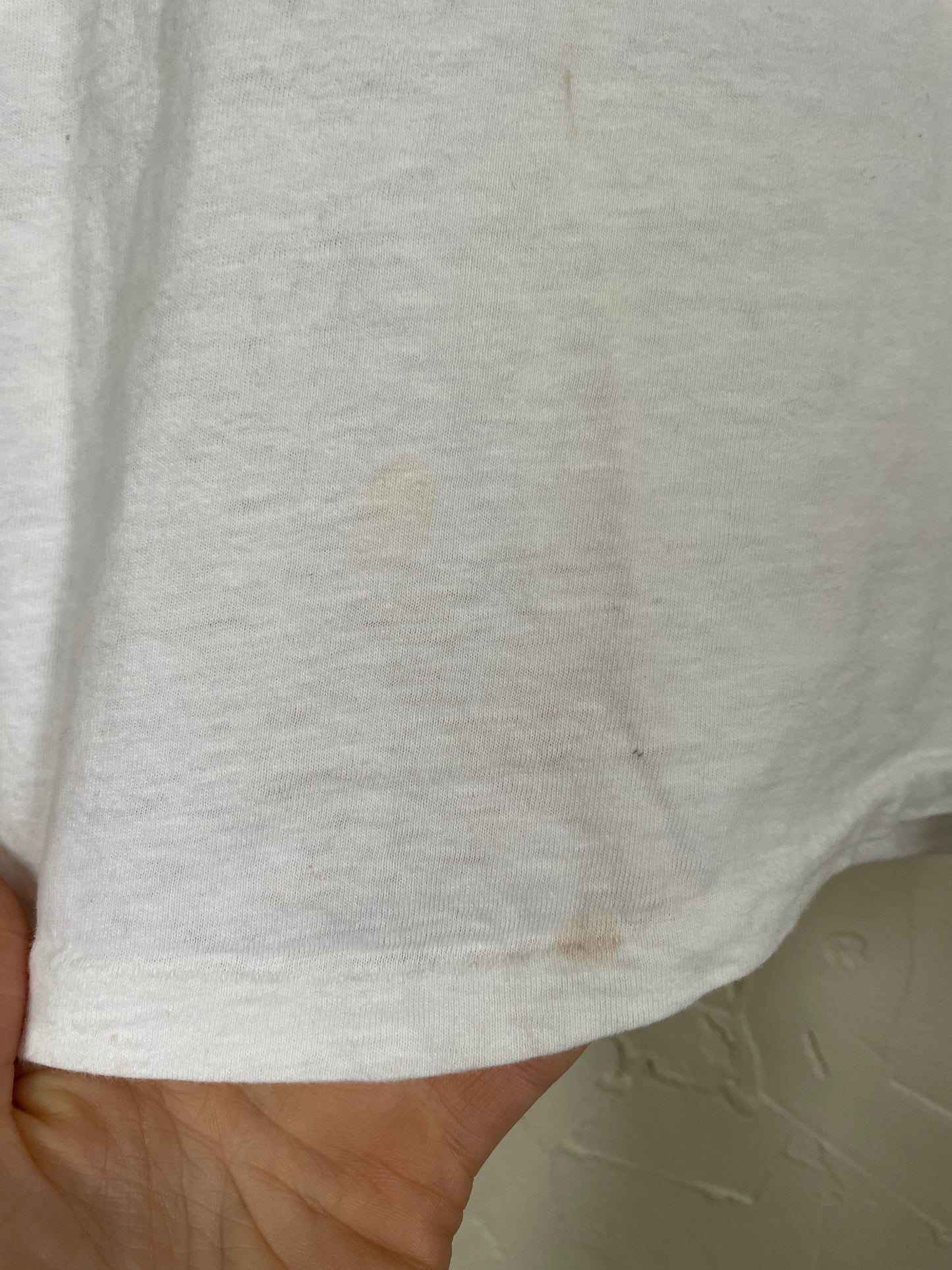70s Winnetaska Raccoon Tee
