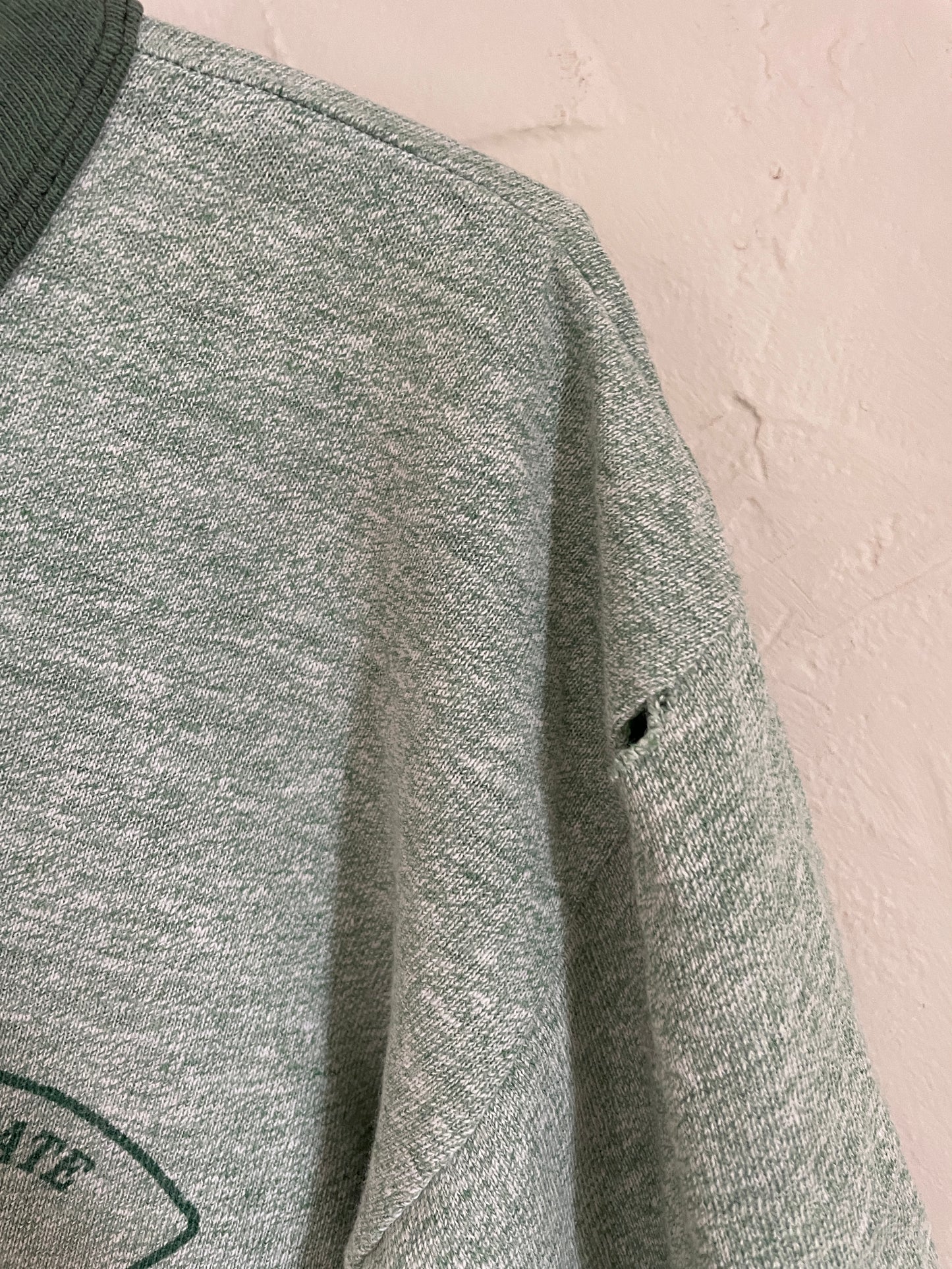 Vintage 70s Michigan State Football Tee