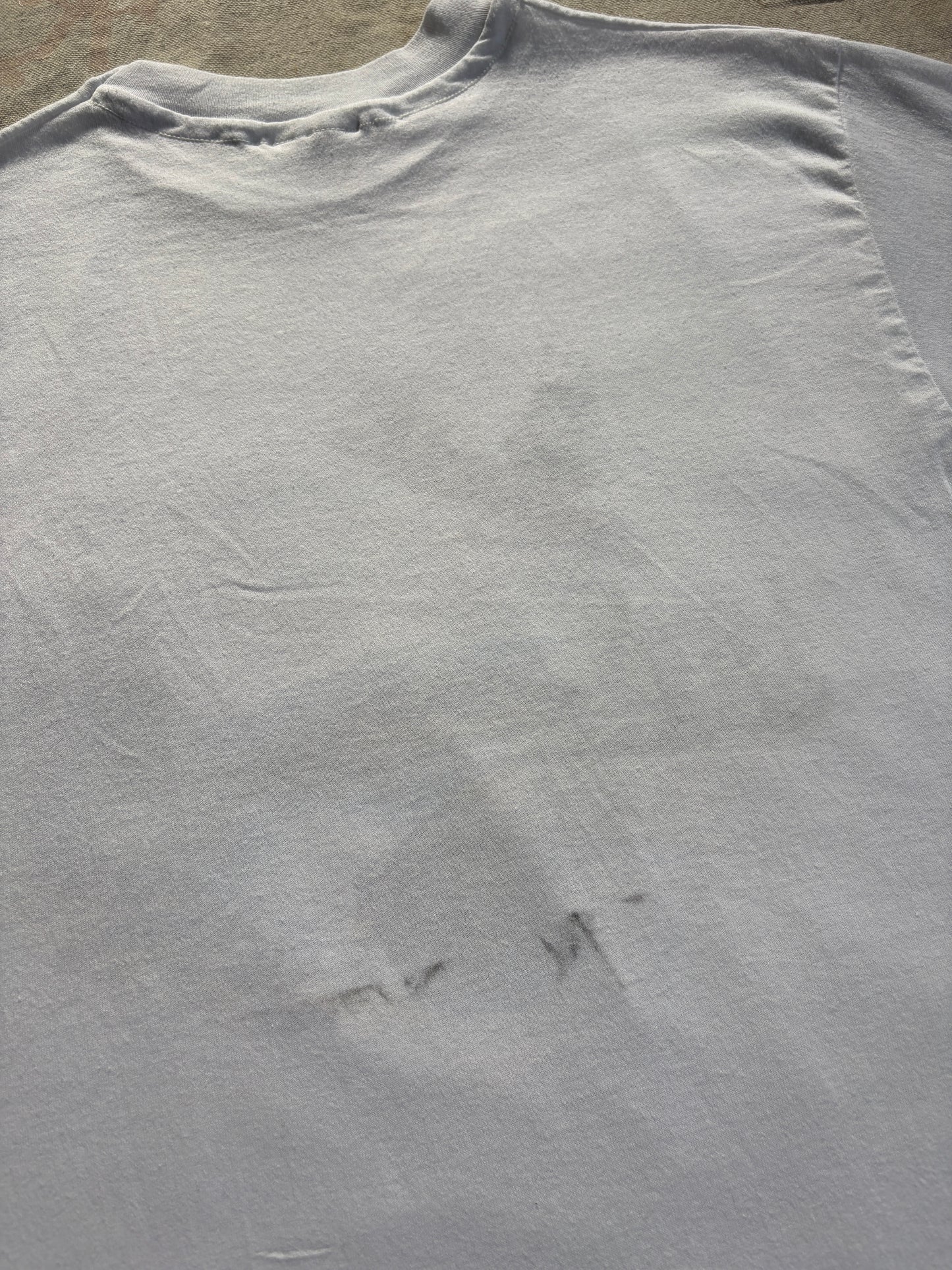 80s Bear And Eagle Mountain River Scene Nature Tee