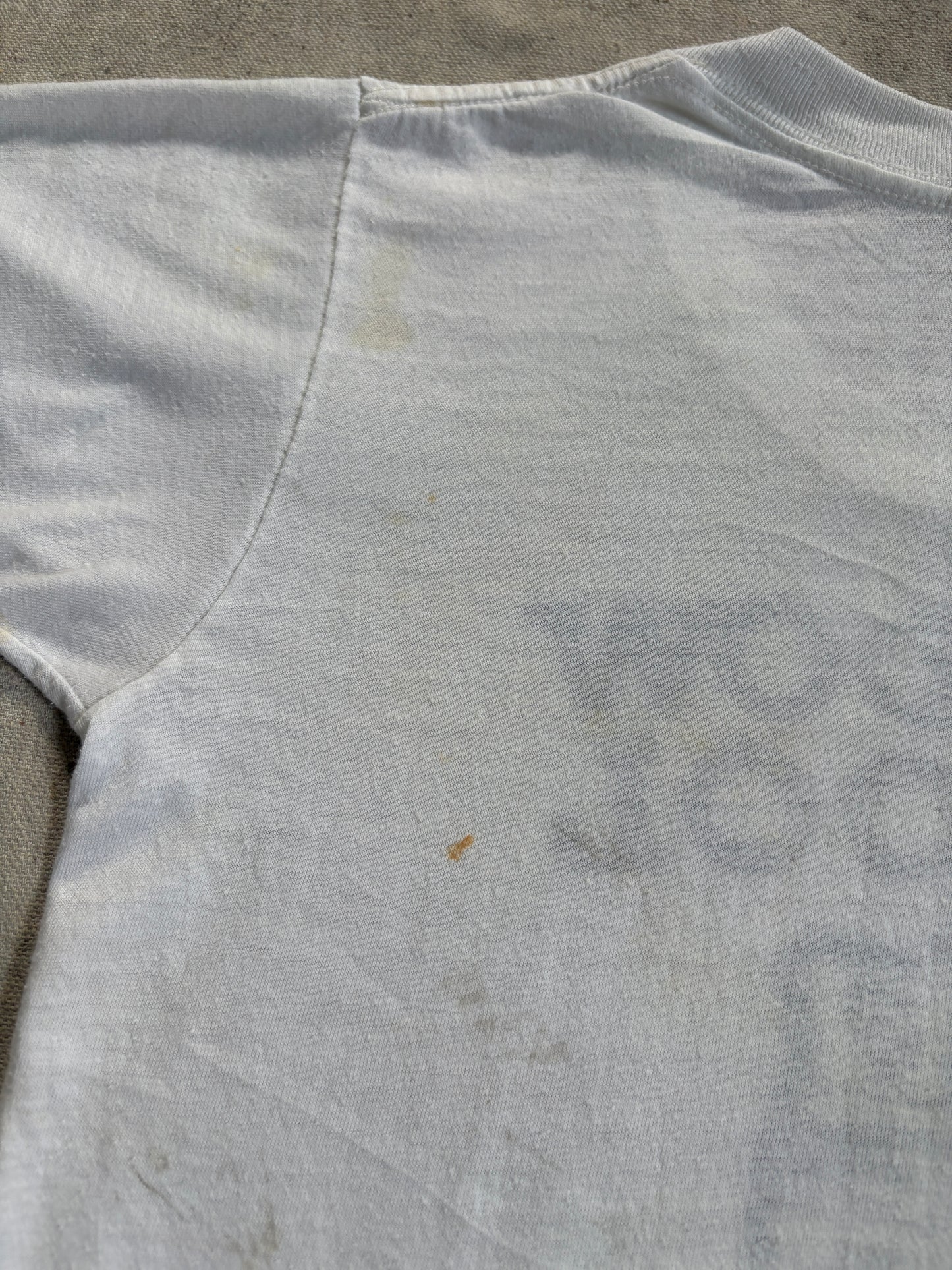 Vintage 70s Baldwin Harbor Long Island Meadow School Tee