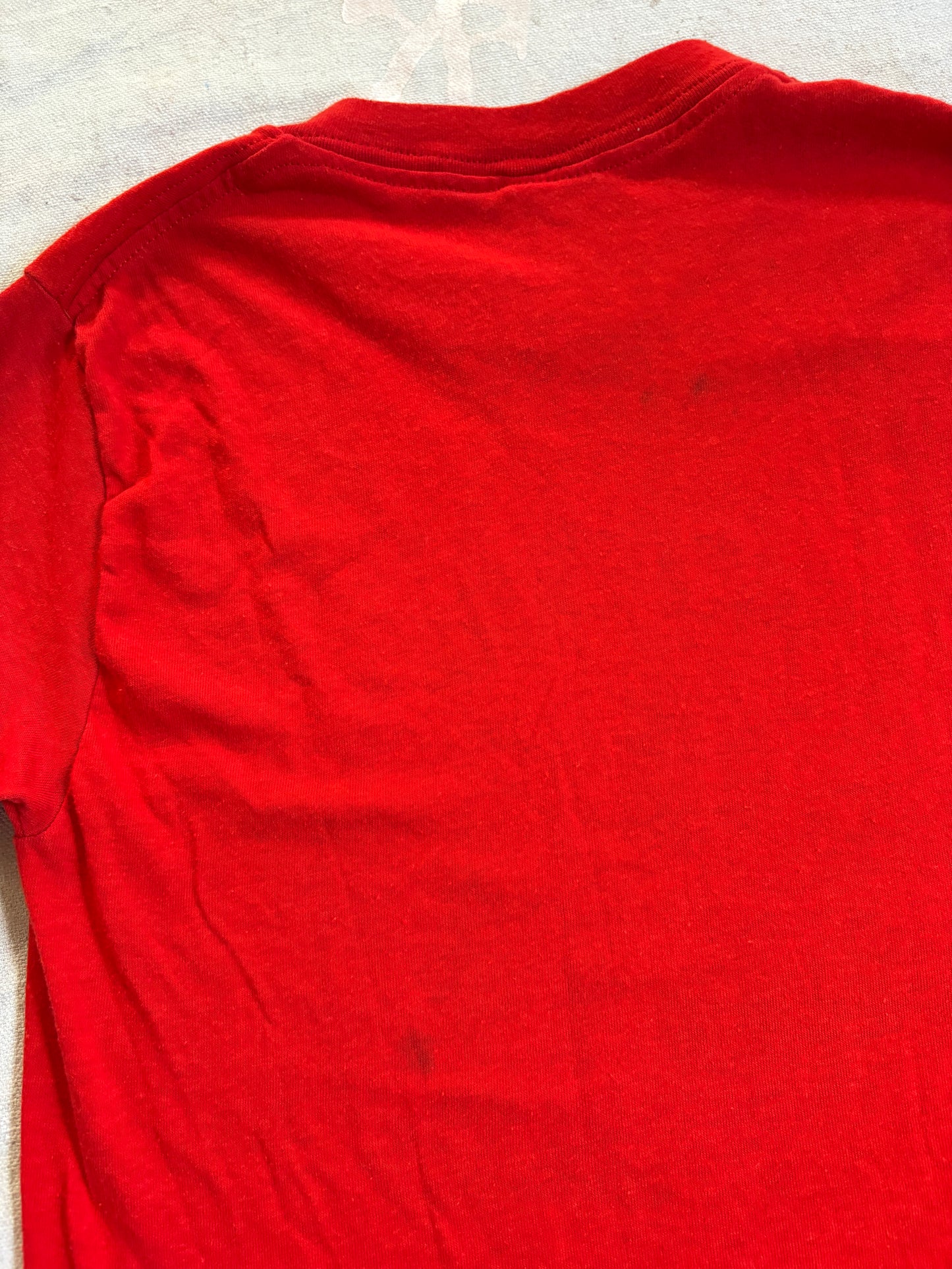 Vintage 80s RKY Camp Eagle Lake Tee
