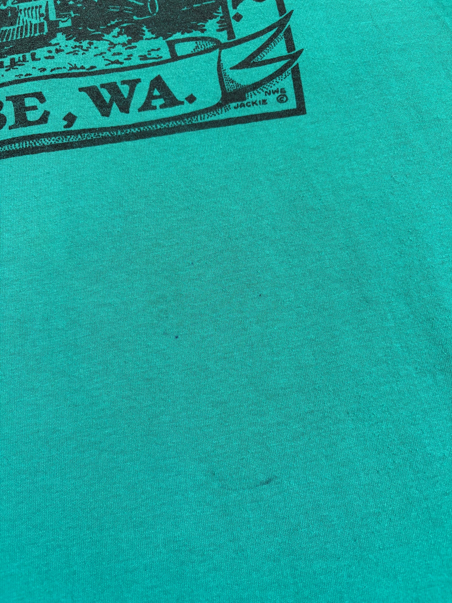 Vintage 90s Mt. Rainier Scenic Railroad Elbe Washington Tee