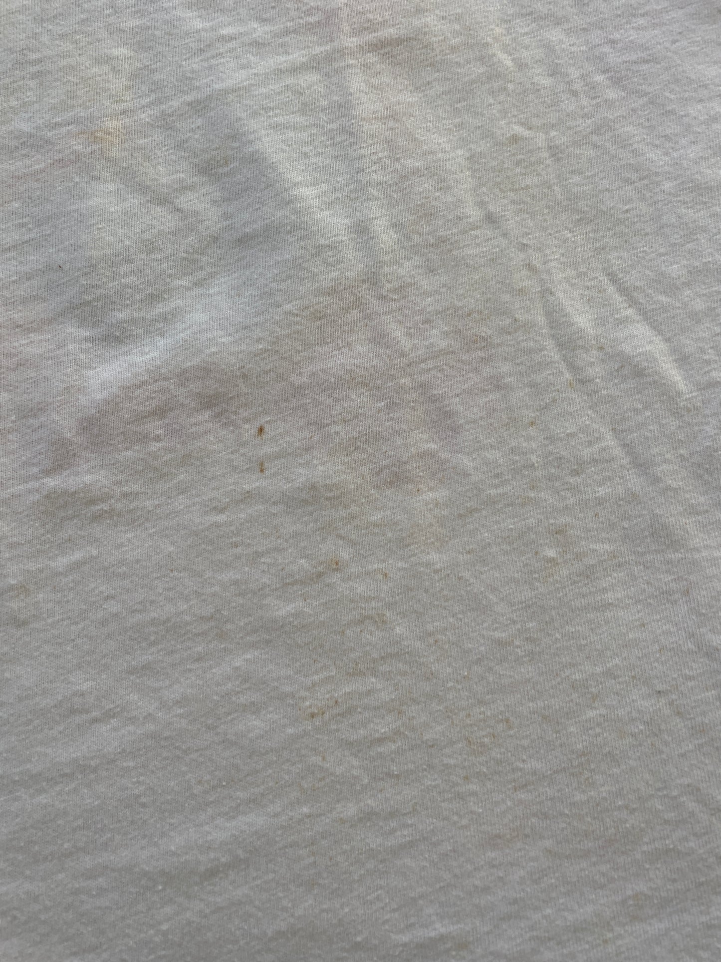 80s Kingdom Of The Dinosaurs Tee