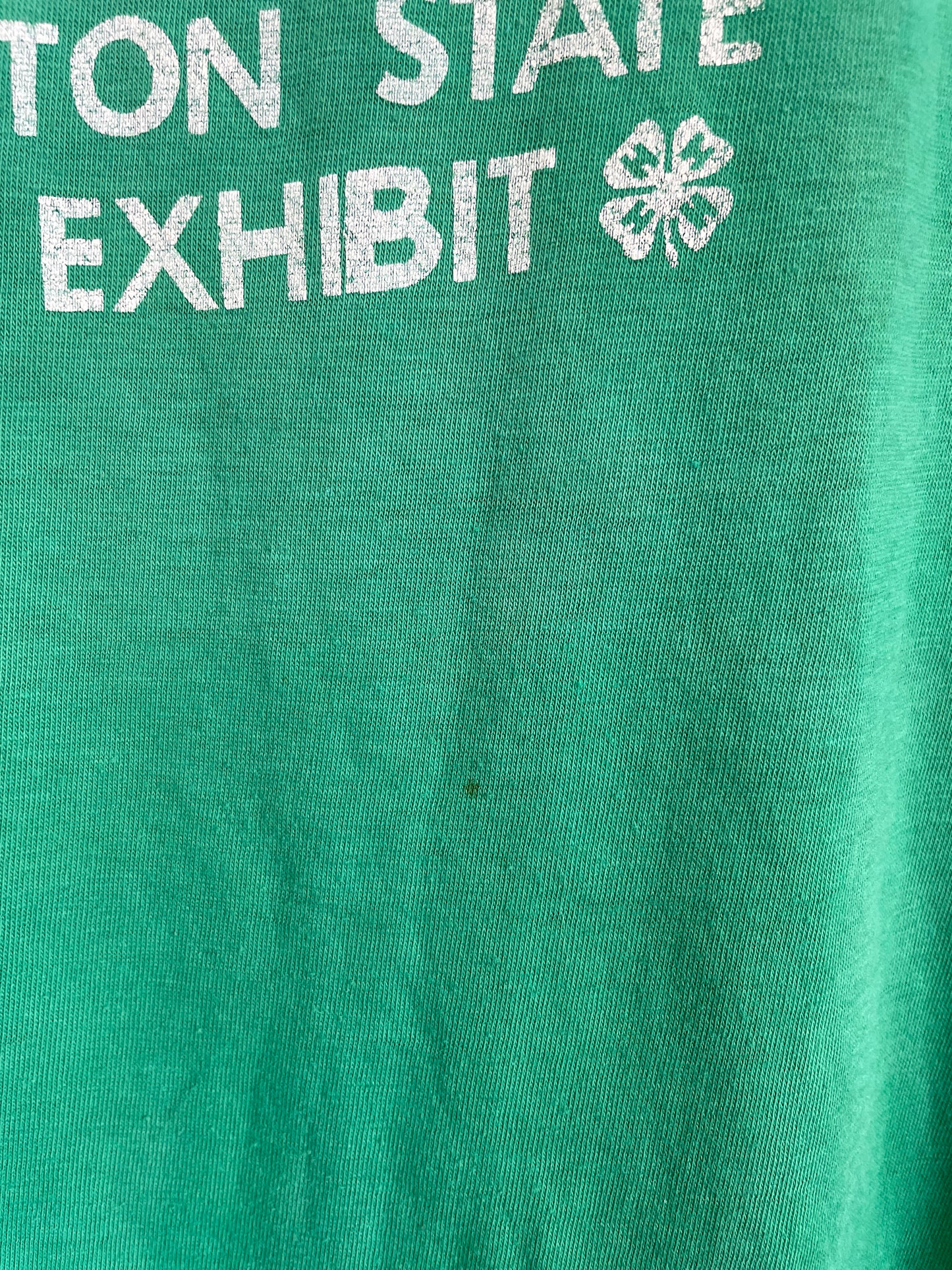 80s Washington State Horse Exhibit, Snohomish County 4-H Tee