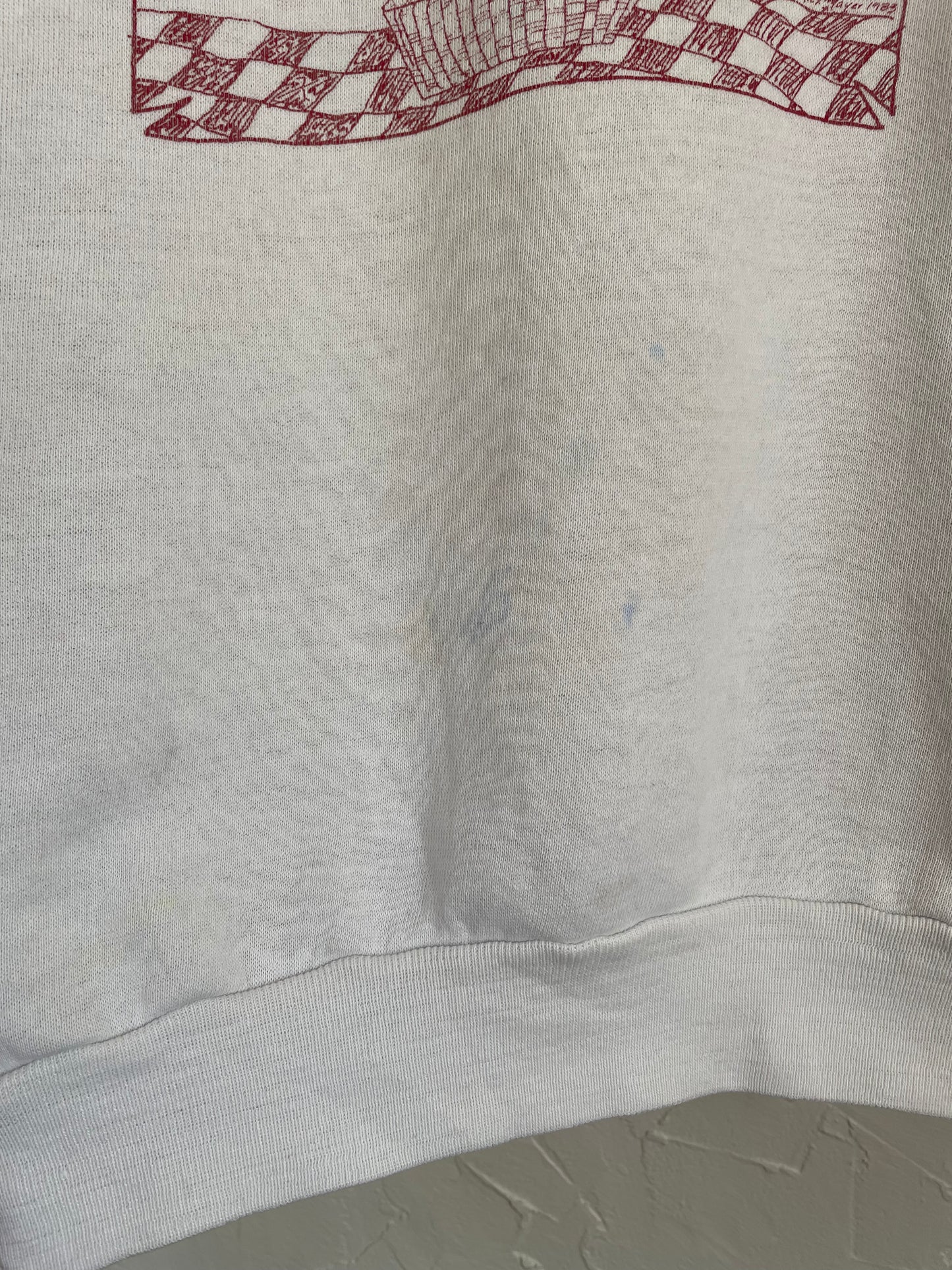 80s Picnic Sweatshirt