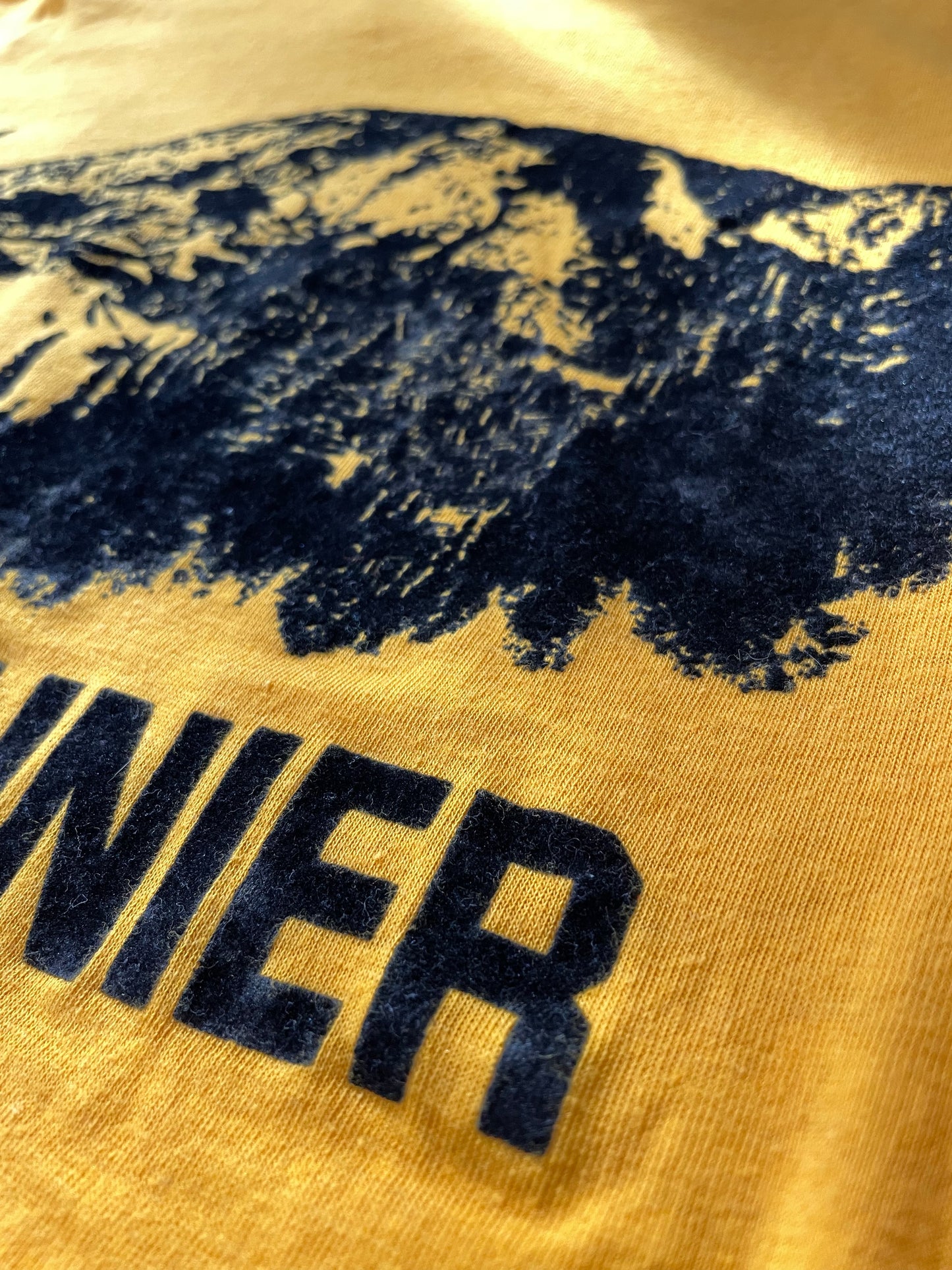 80s Mt Rainier, 10k Fun Run, Ft. Lewis- McChord Washington Tee