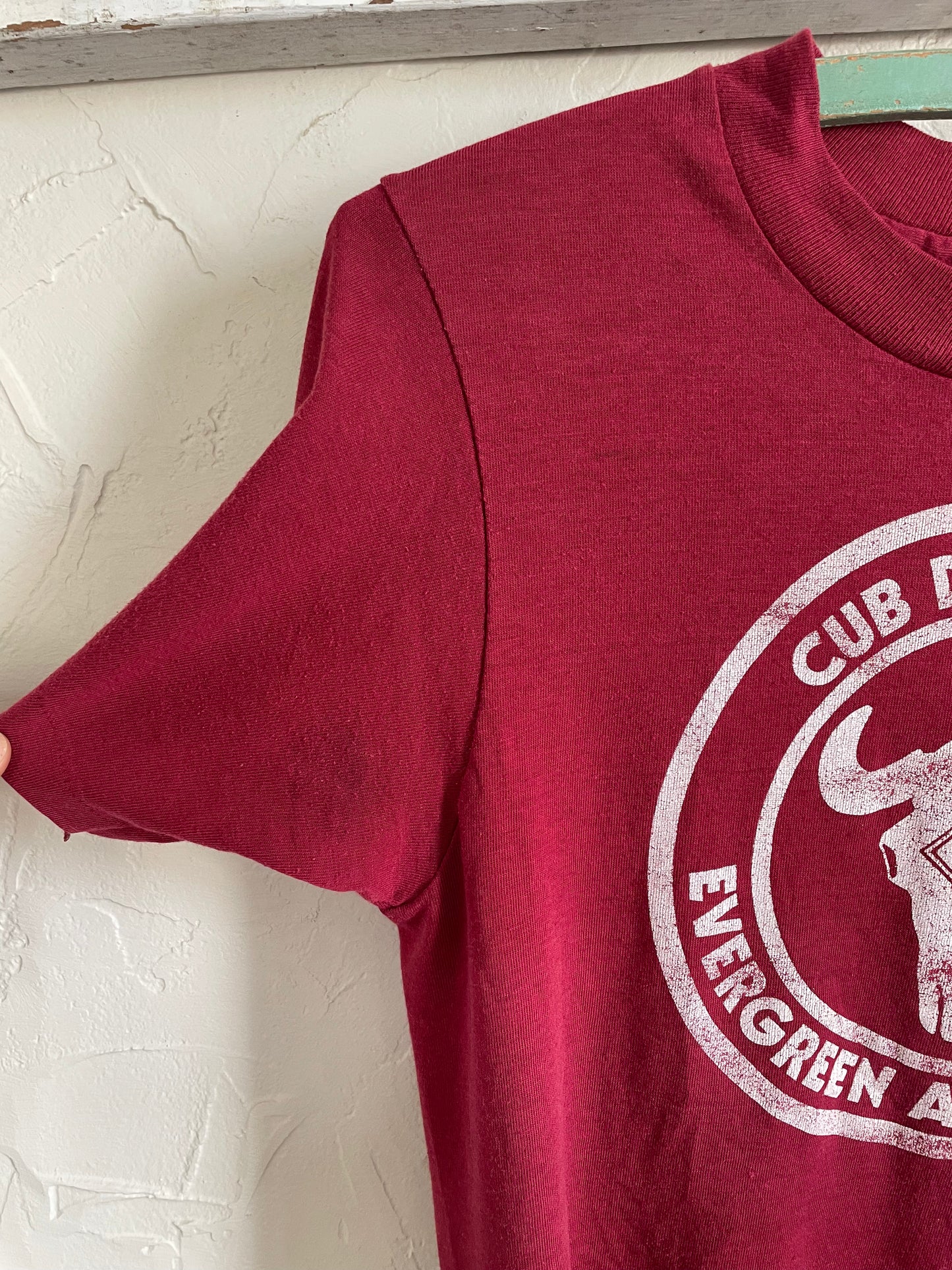 80s Evergreen Cub Day Camp