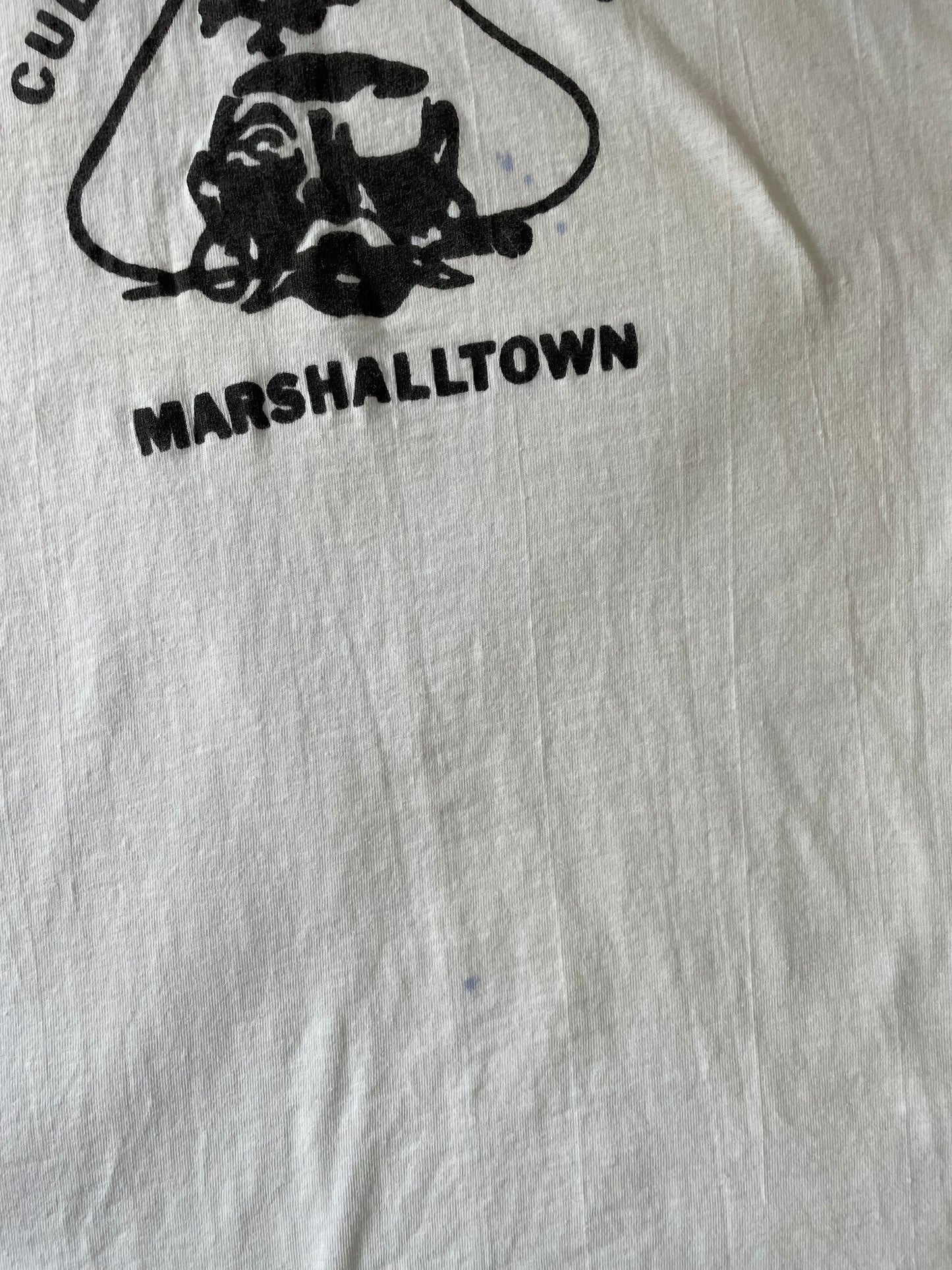 Cub Scout Day Camp Marshalltown