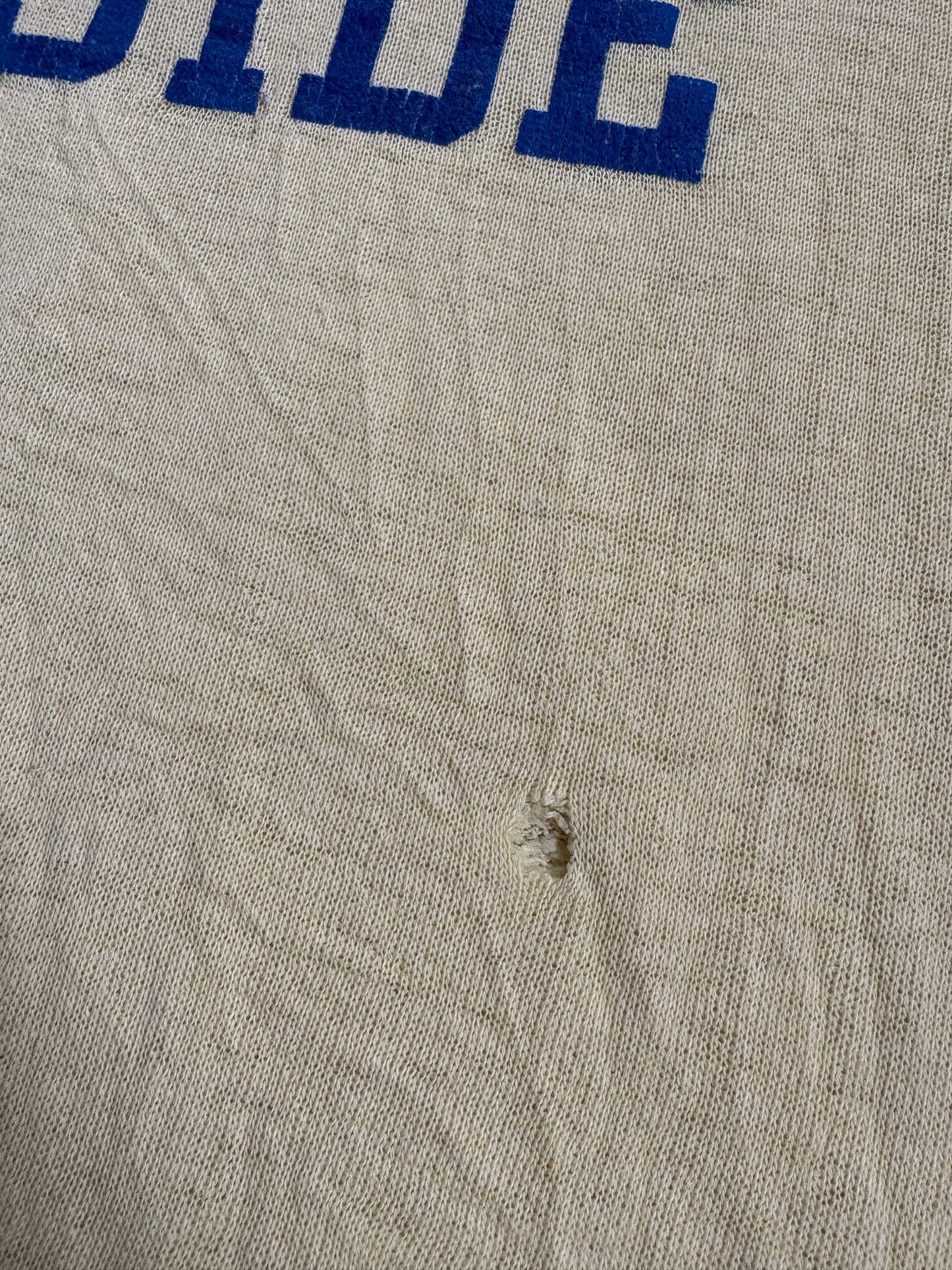 70s/80s UC Riverside Sweatshirt