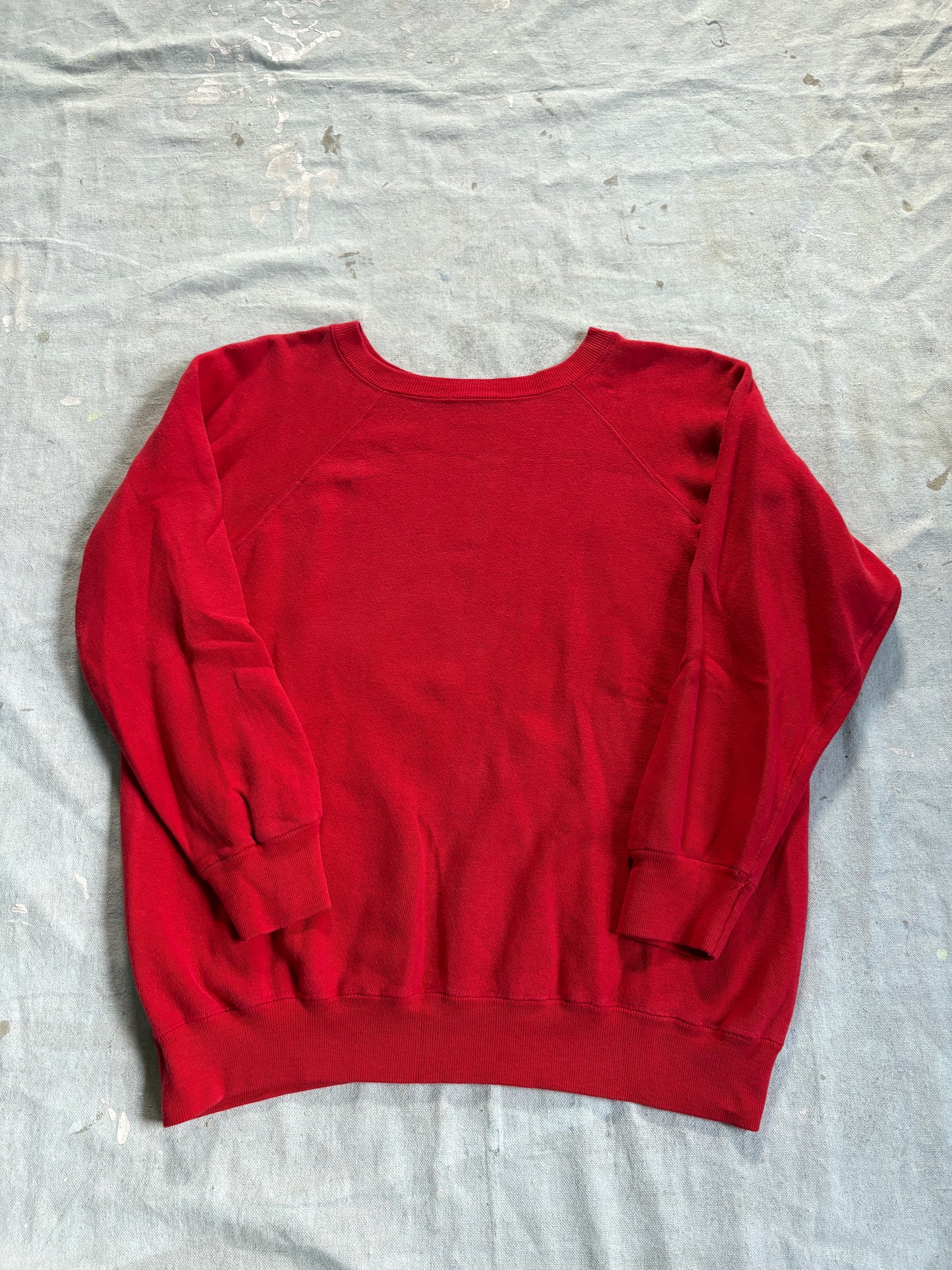 70s Champion Blue Bar Blank Red Sweatshirt