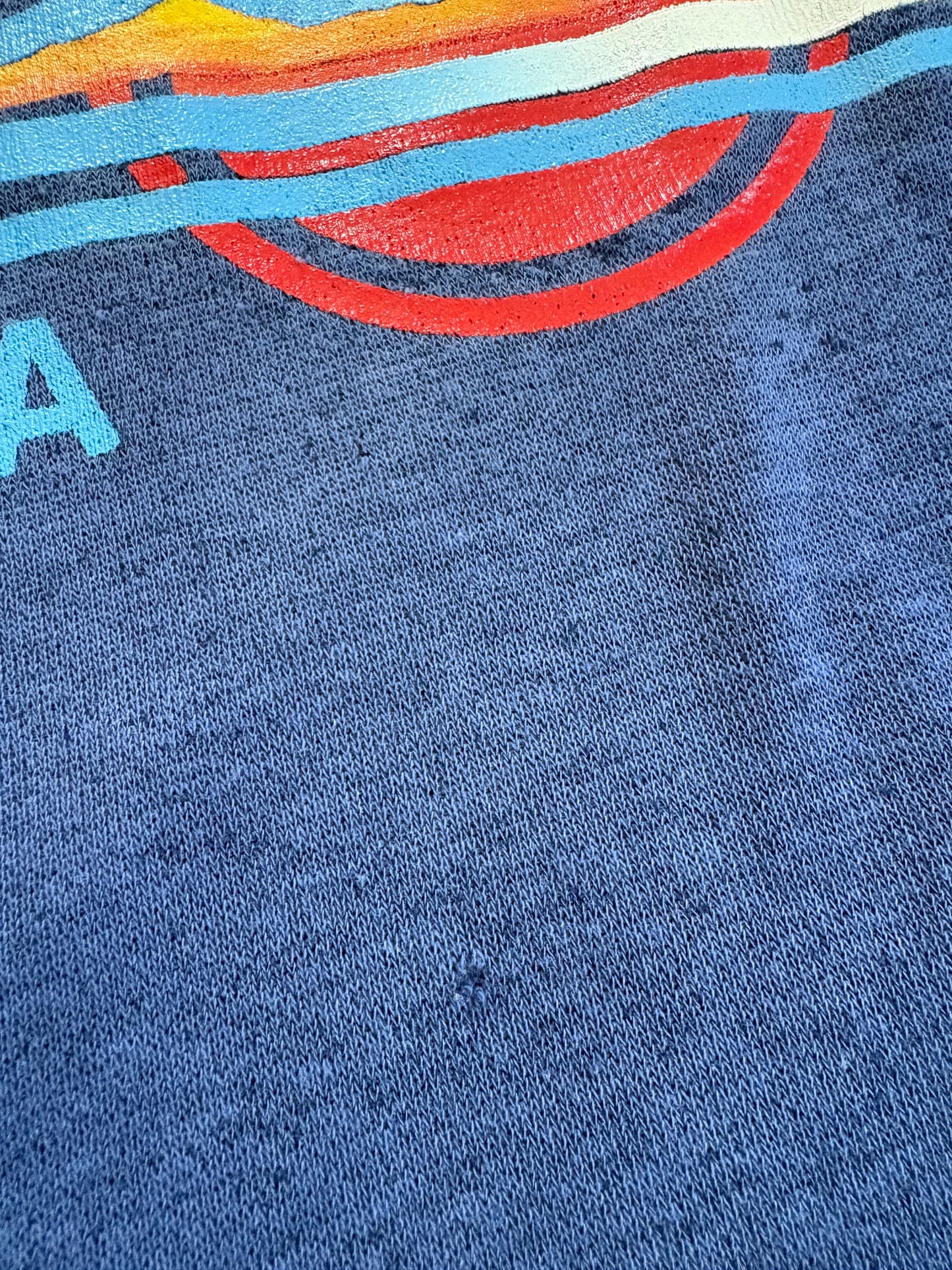 Vintage 80s Montana Sunset Sweatshirt