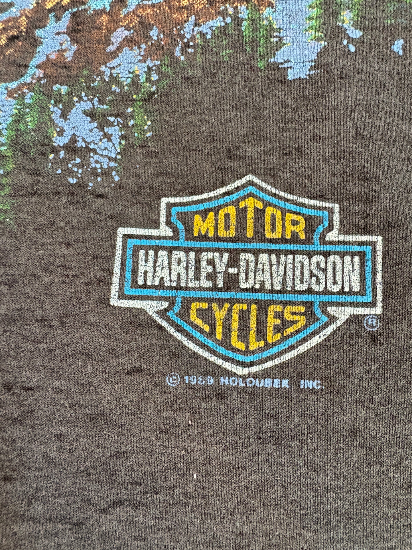 Vintage 80s Harley Davidson Soaring Eagle Tee