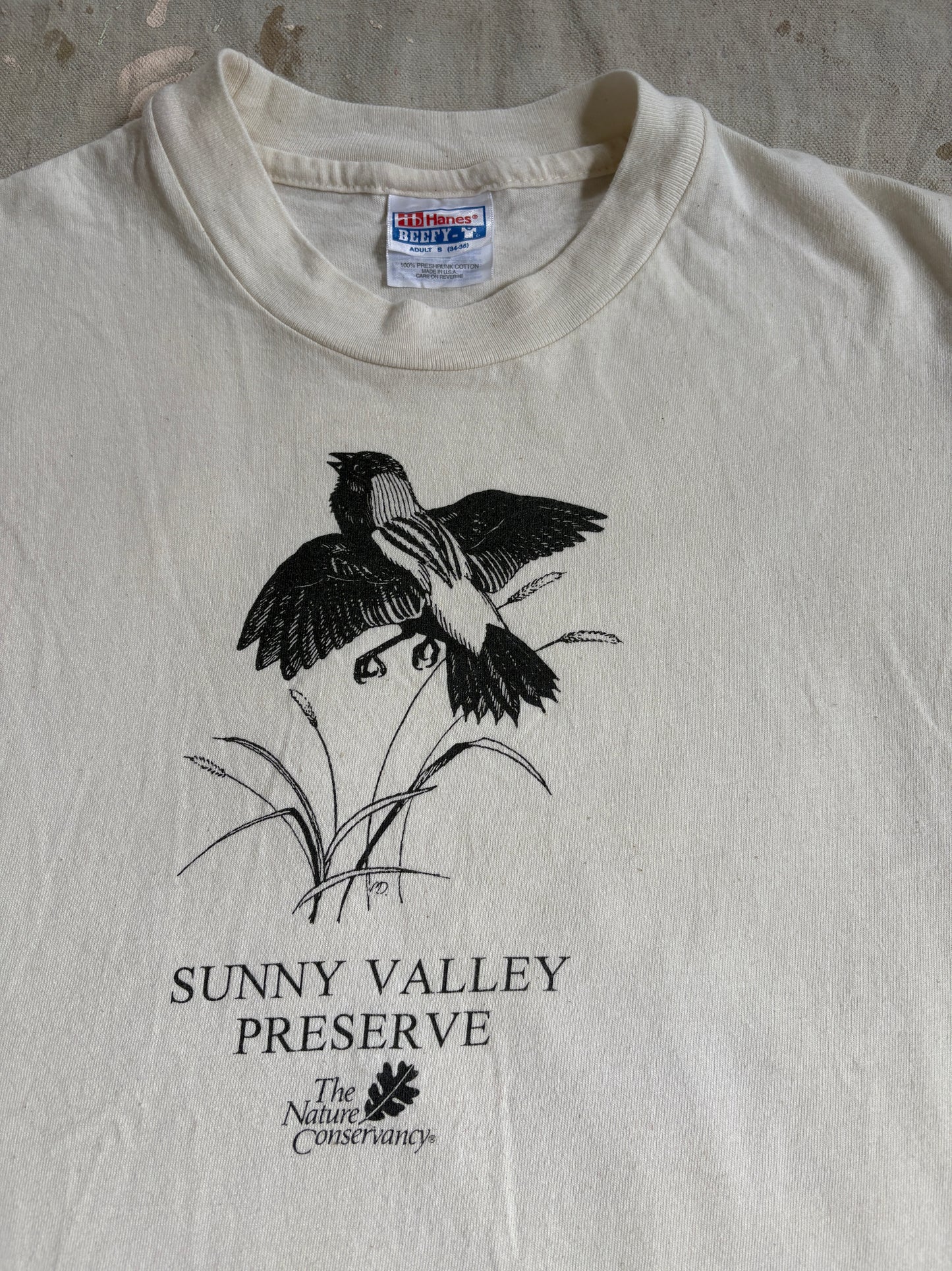 90s Sun Valley Preserve Tee