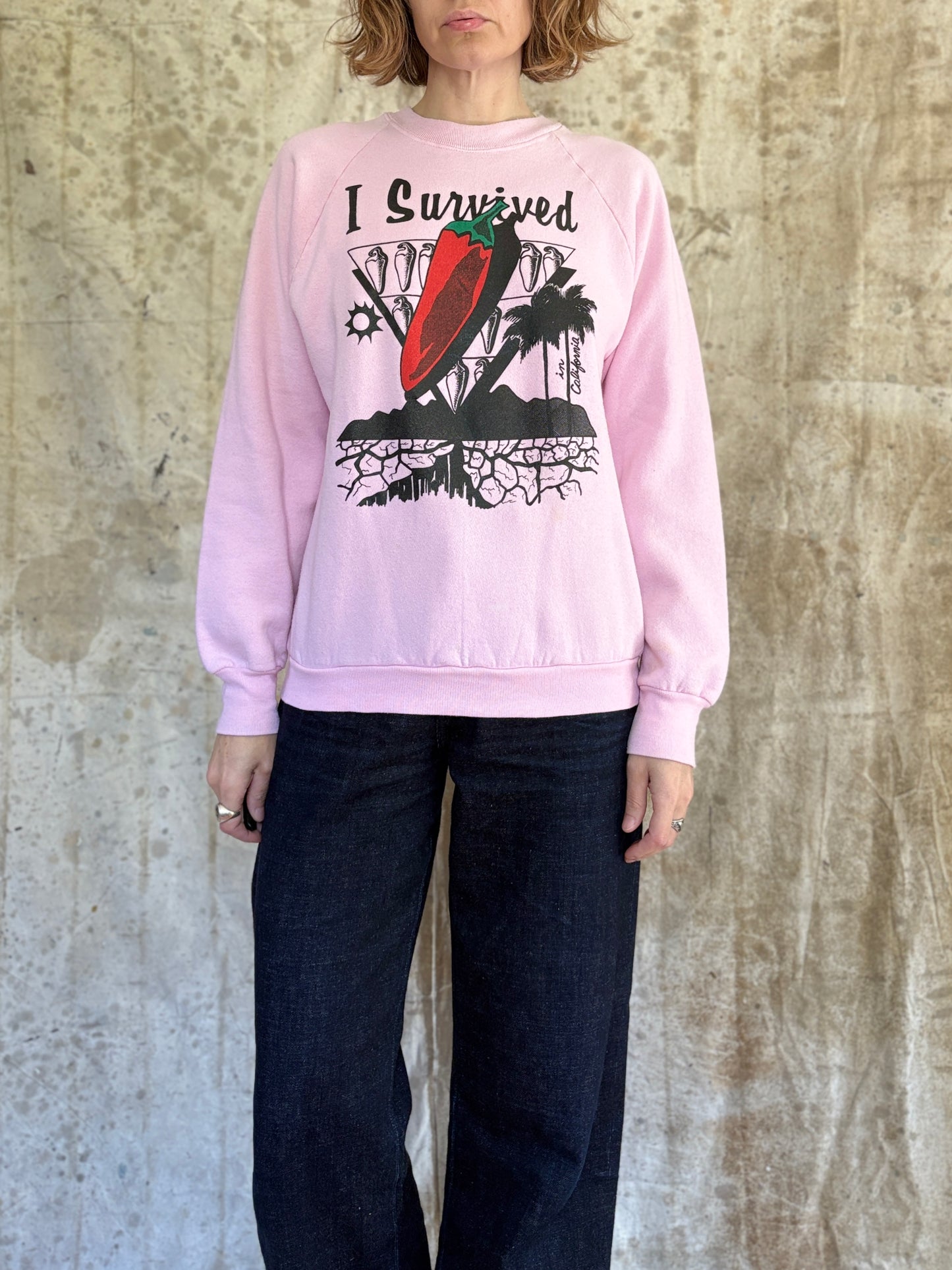 Vintage 80s/90s I Survived The Heat In California Sweatshirt