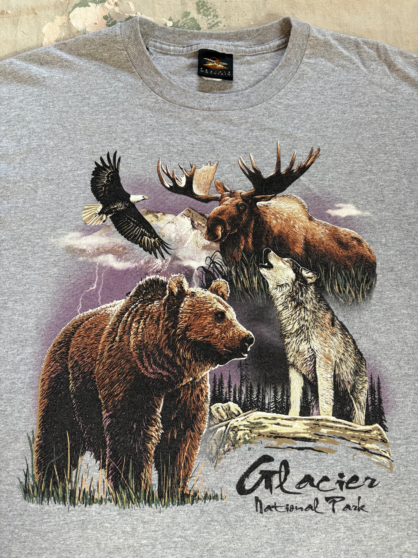 90s Glacier National Park Nature Tee