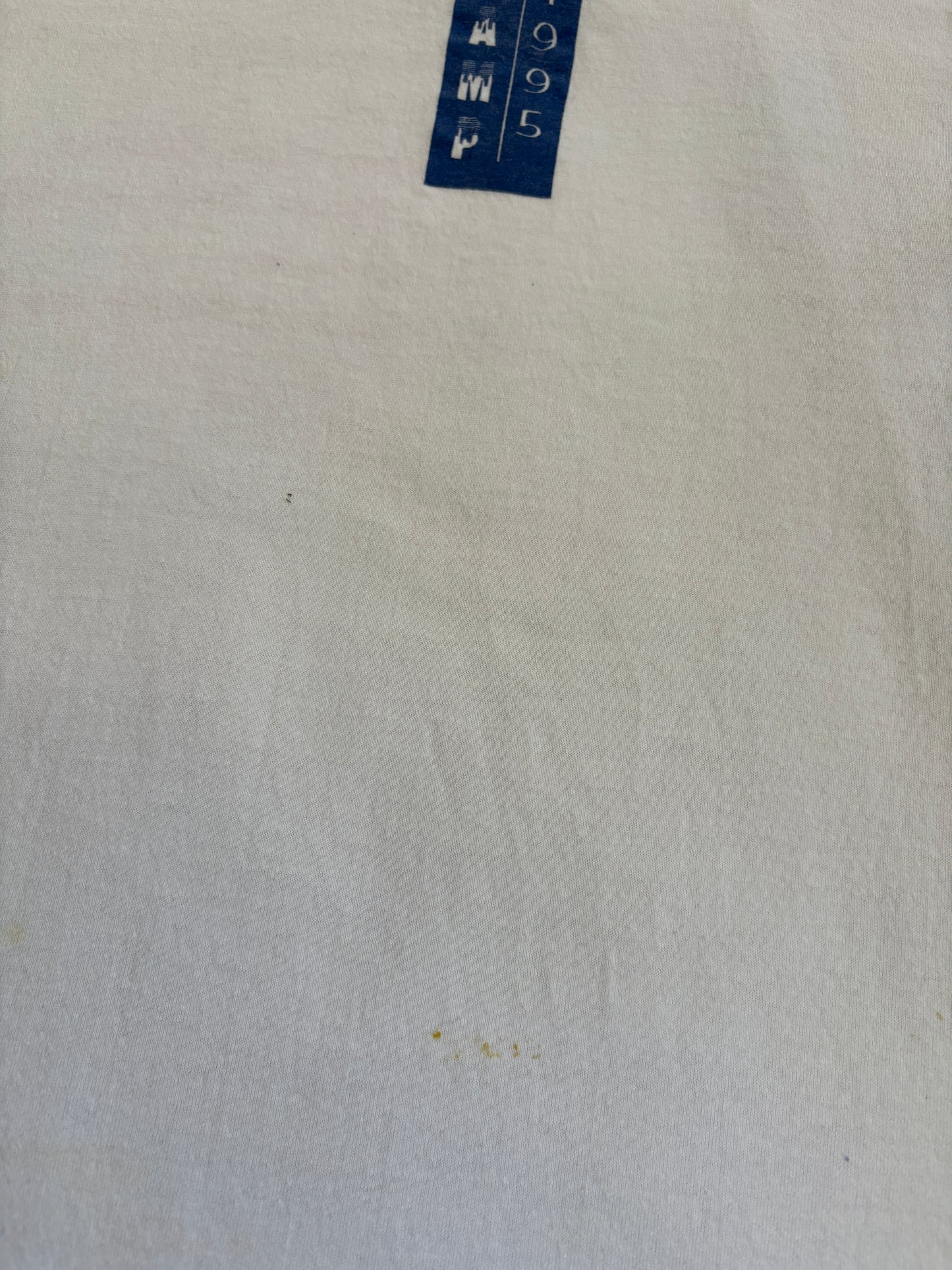 Vintage 1995 Ten Reasons To Go To Camp Tee