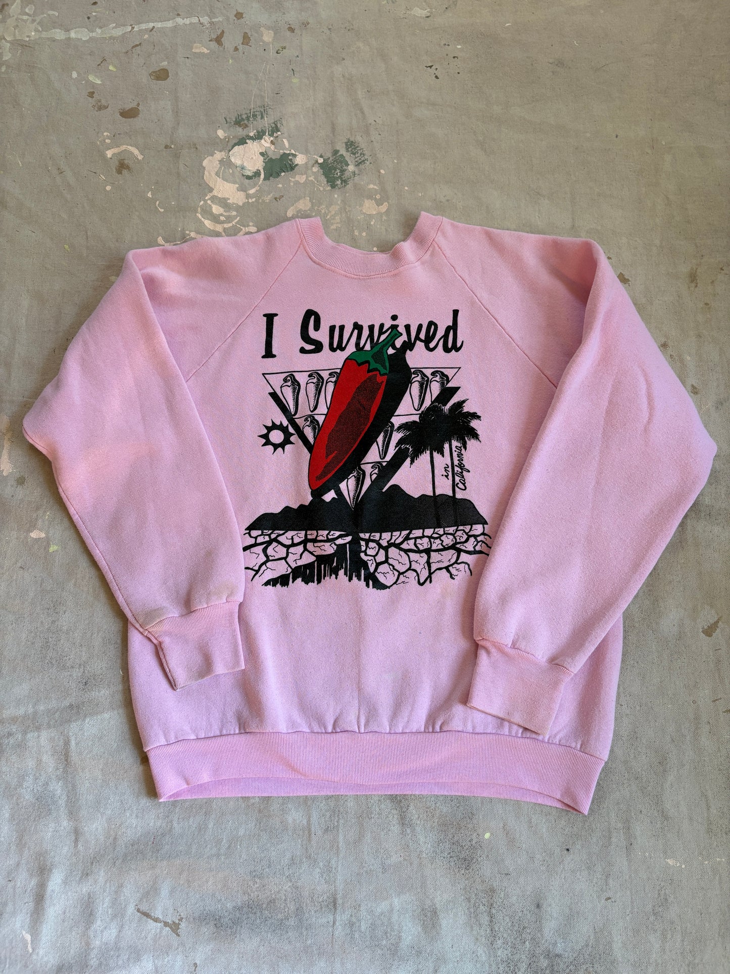 Vintage 80s/90s I Survived The Heat In California Sweatshirt