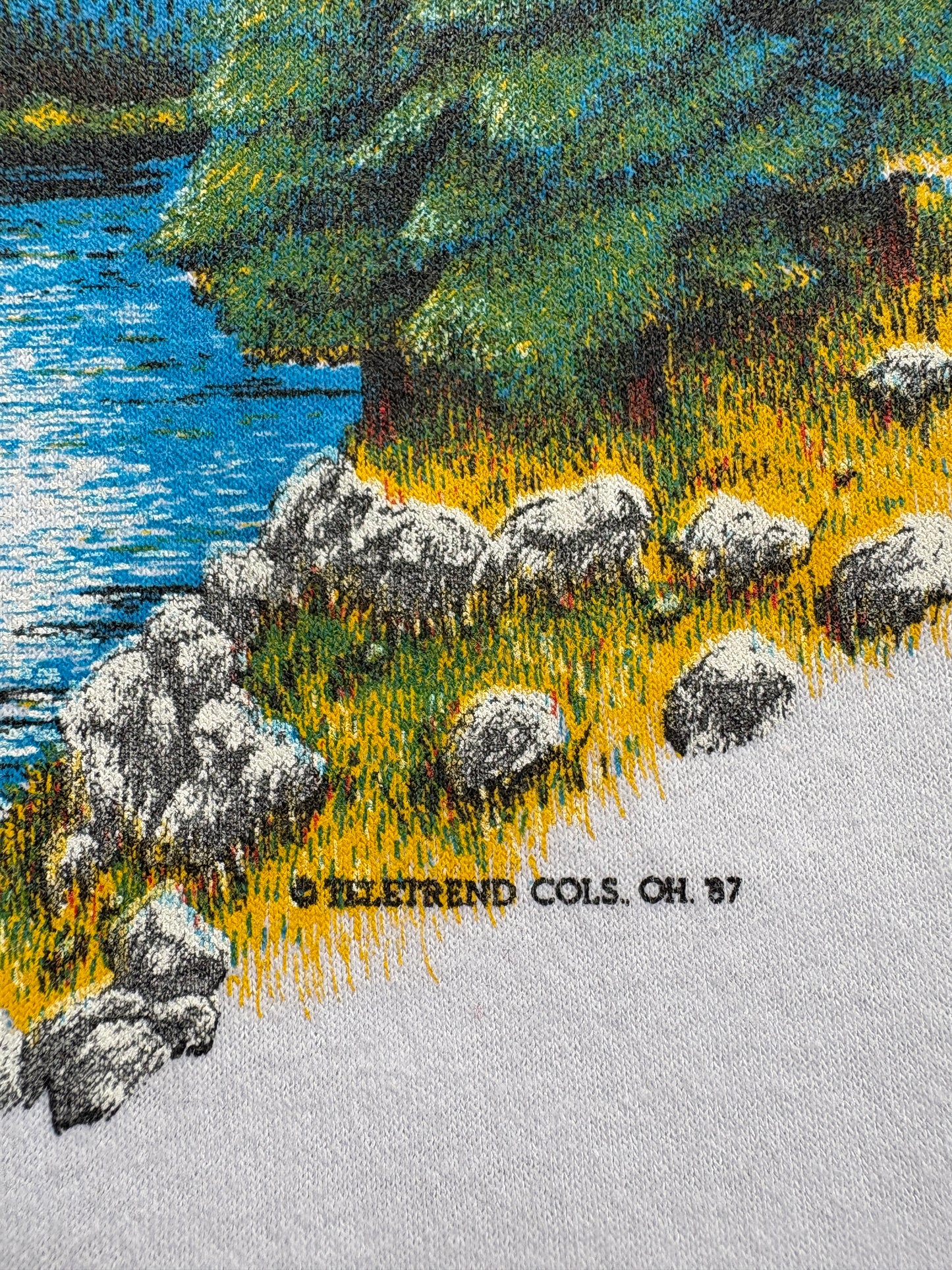 80s Bear And Eagle Mountain River Scene Nature Tee