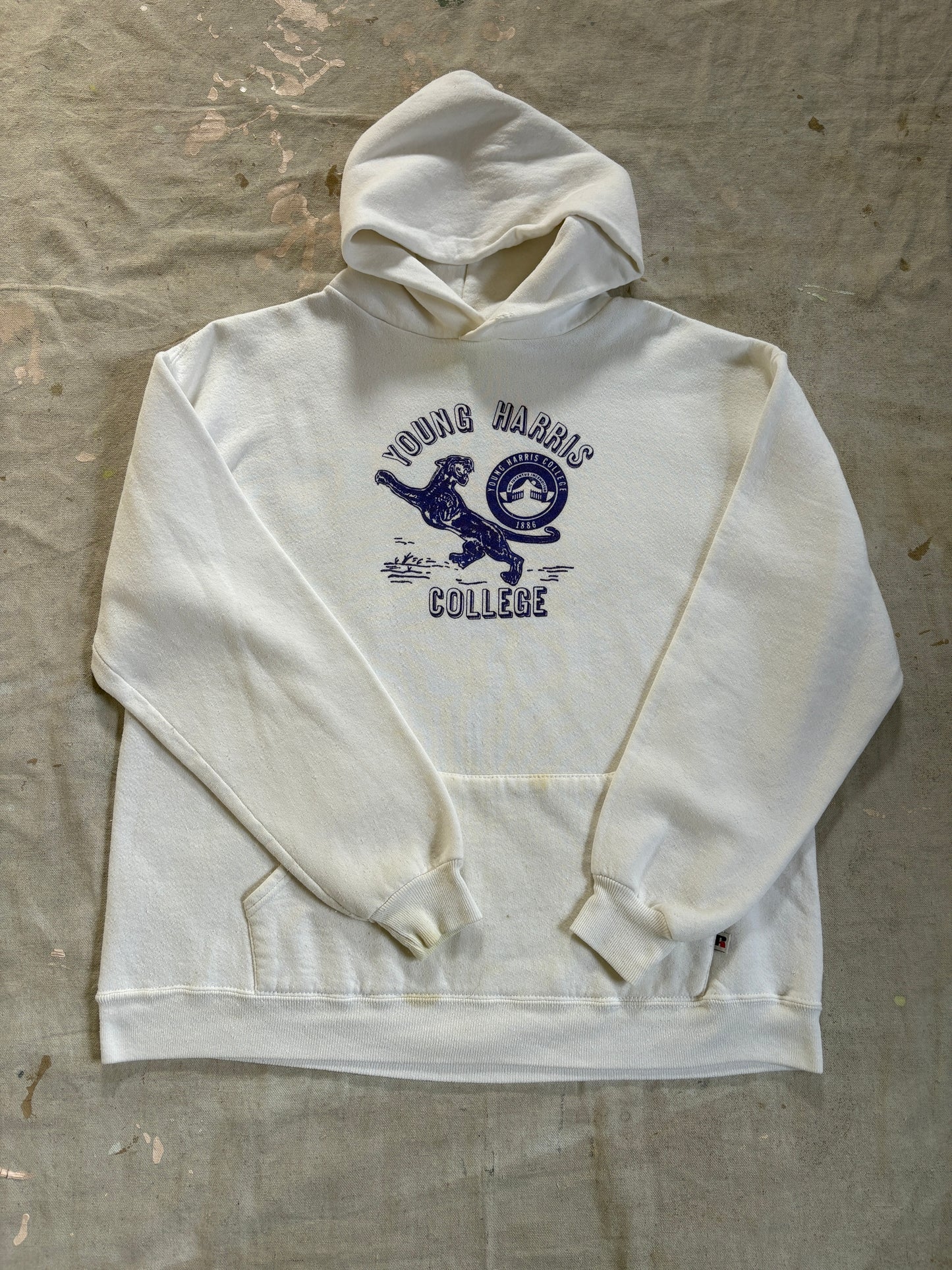 90s Young Harris College Hoodie Sweatshirt