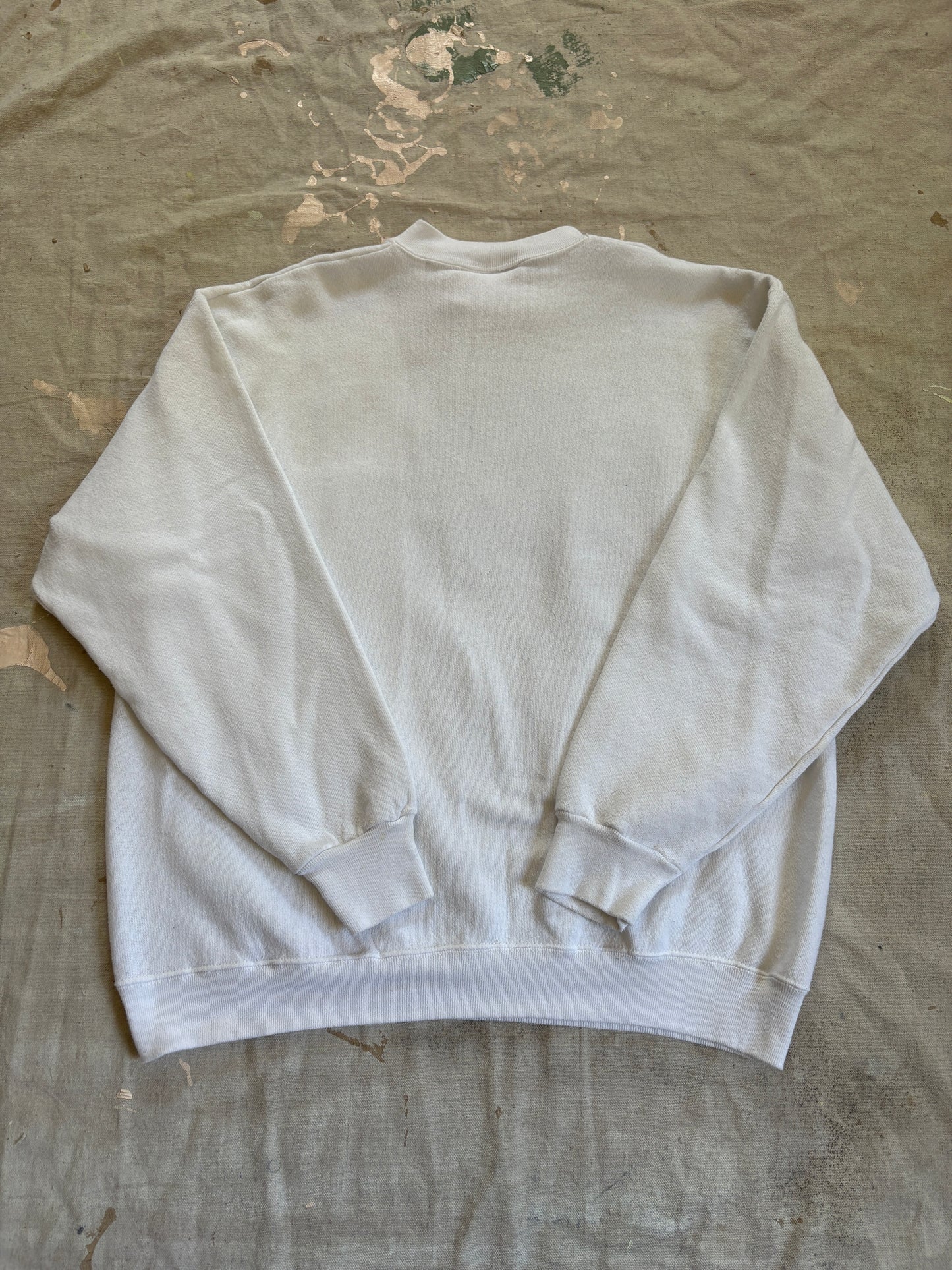 90s Historic New Harmony Indiana Sweatshirt