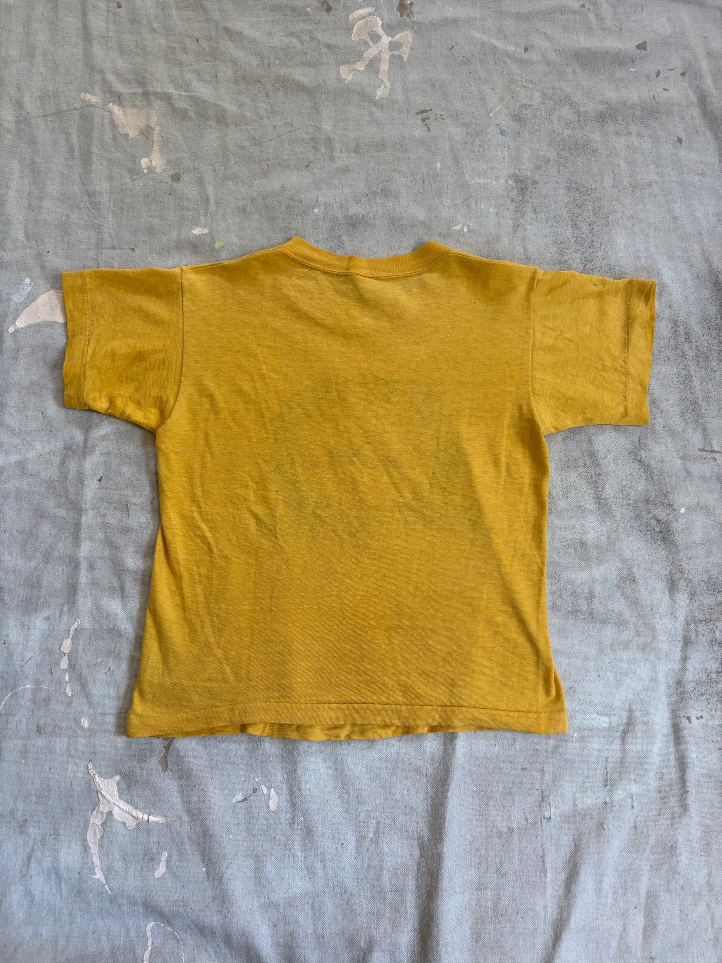 Vintage 50s Champion Cub-Dad Day Outing  Camp Quapaw Tee