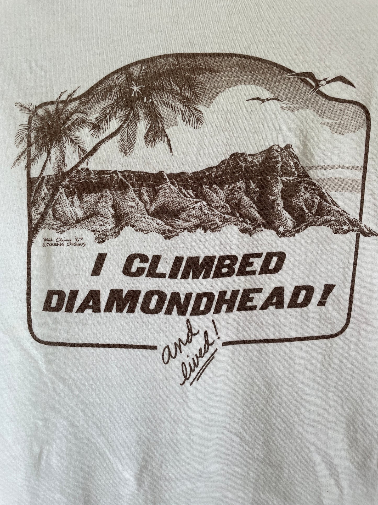 80s I Climbed Diamondhead Tee