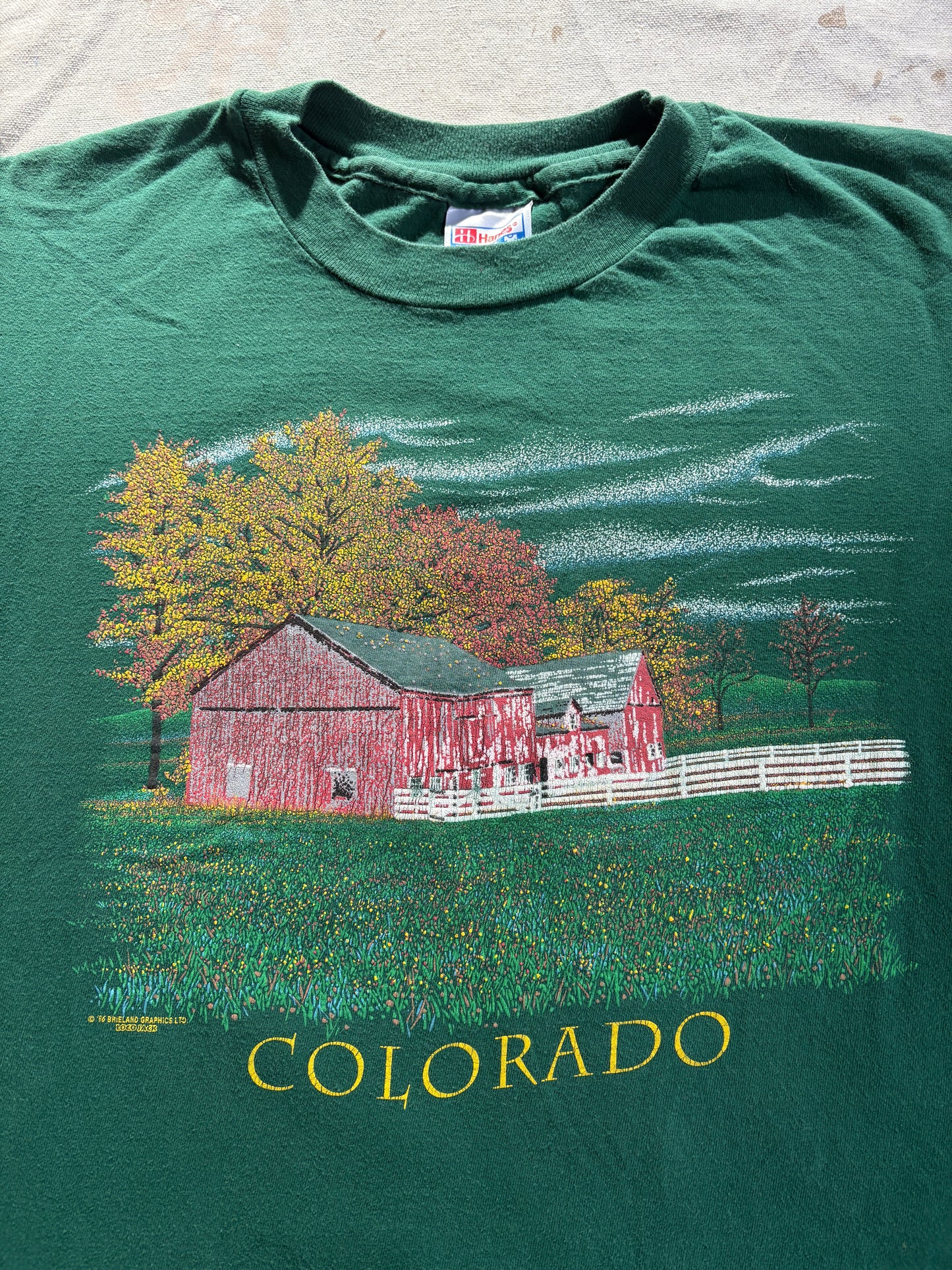 90s Green Colorado Barn Scene Tee