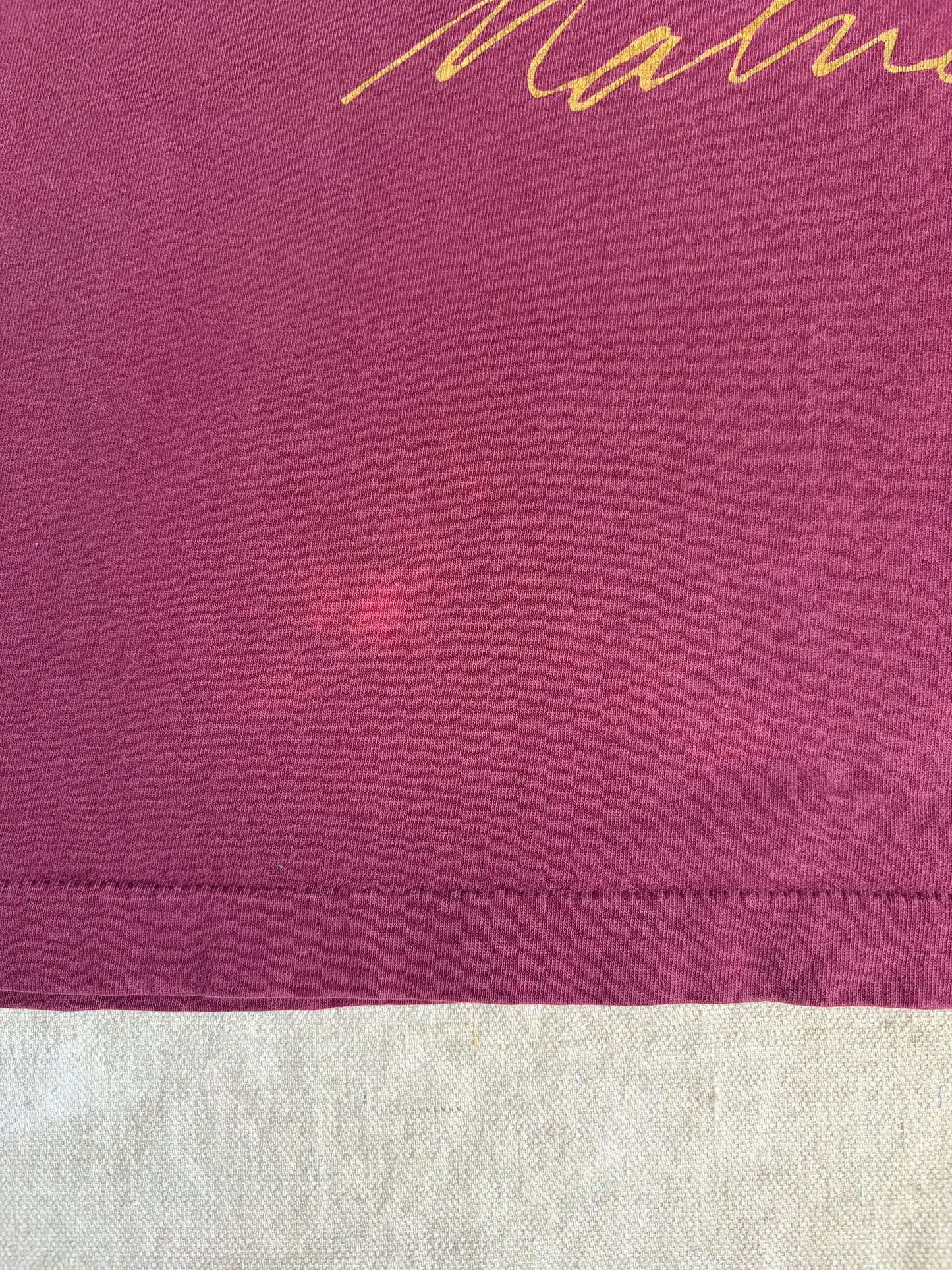 Vintage 90s Japanese Crabapples Artist Painting Tee