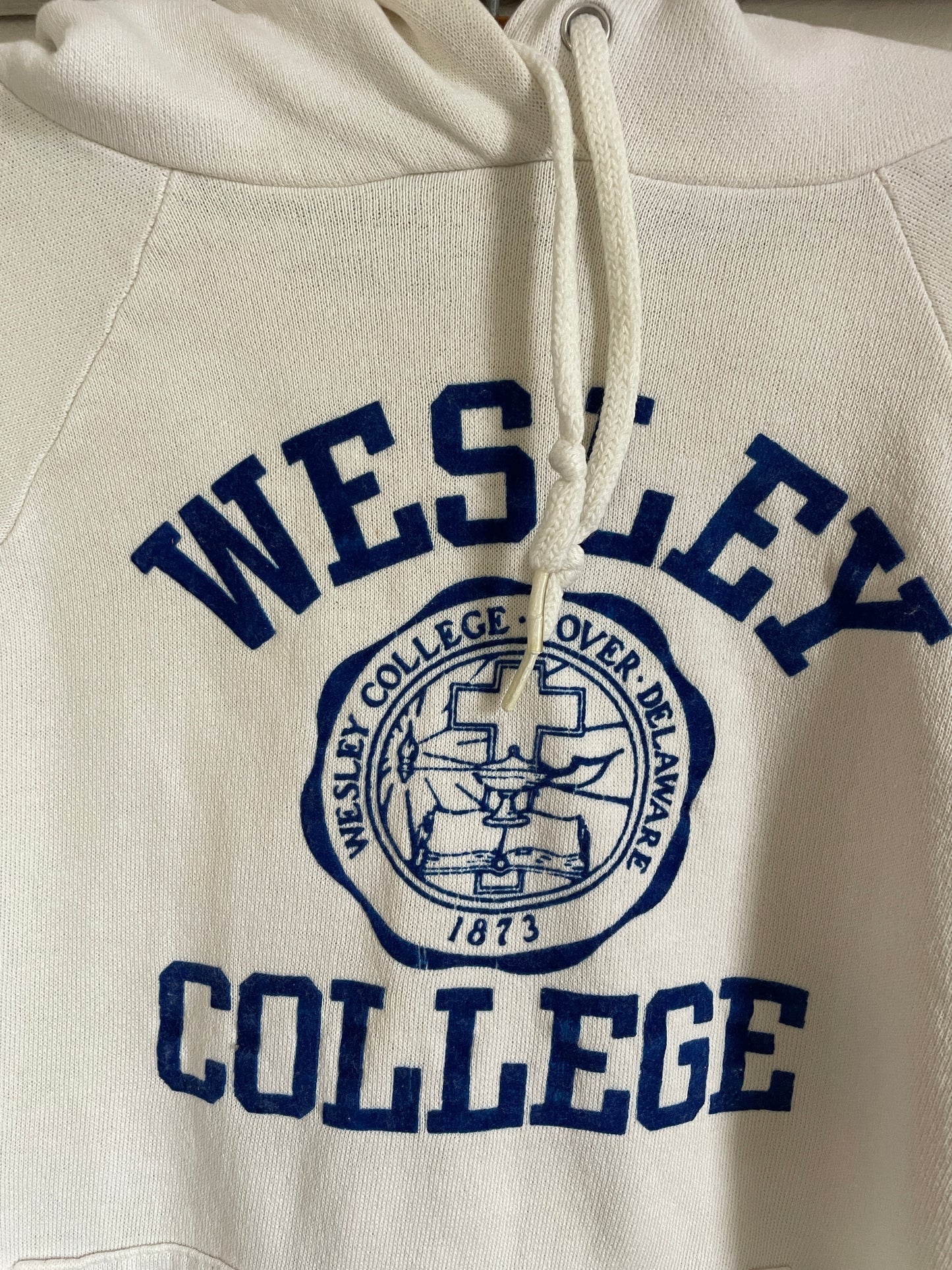 80s Wesley College Flocked Hoodie