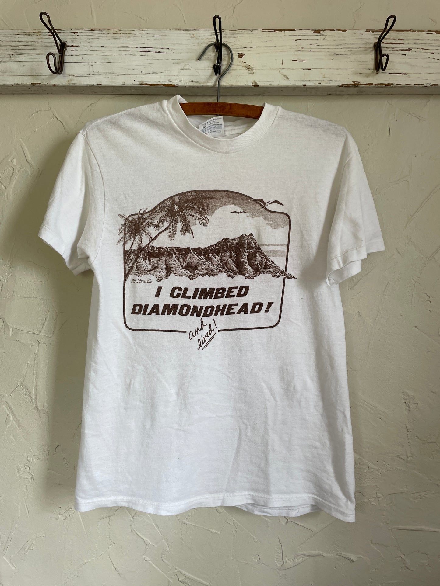 80s I Climbed Diamondhead Tee