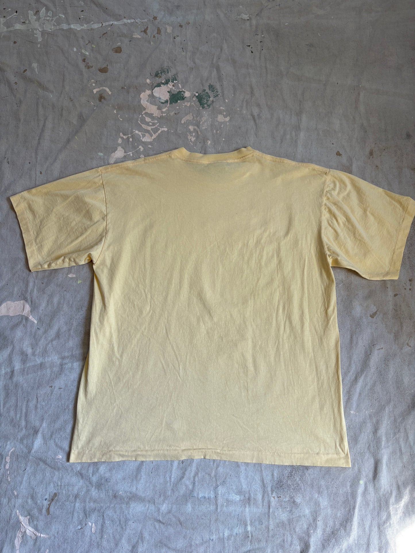 90s Arizona Dream Catcher Tee