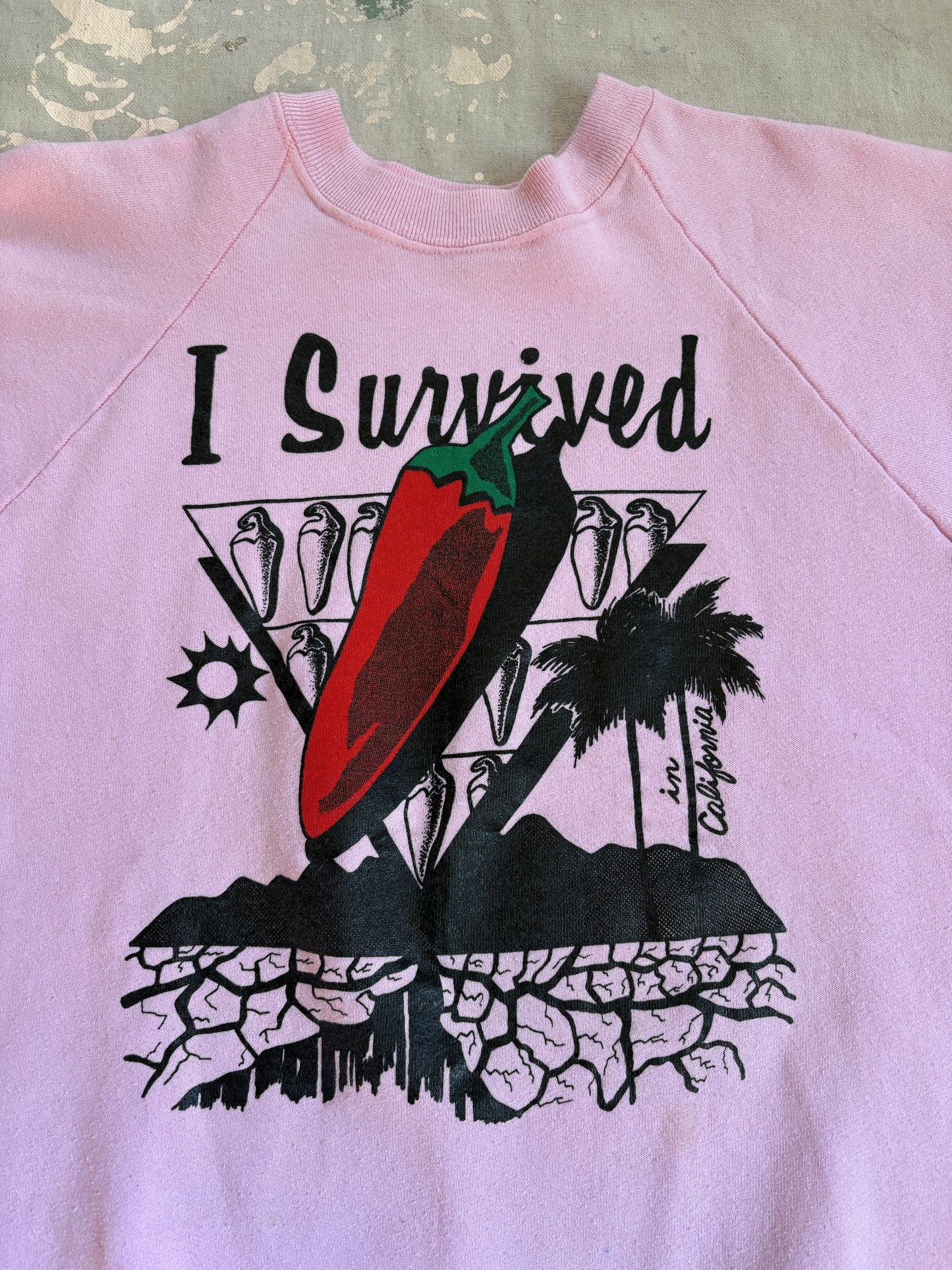 Vintage 80s/90s I Survived The Heat In California Sweatshirt