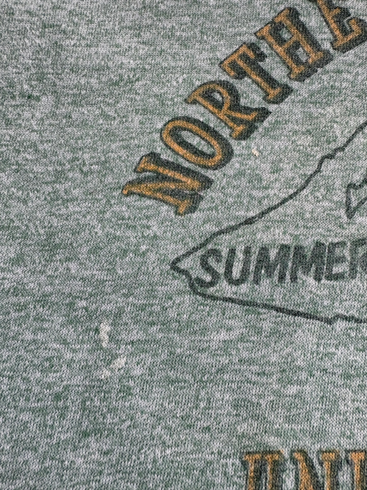 80s Northern Michigan University Ringer Tee