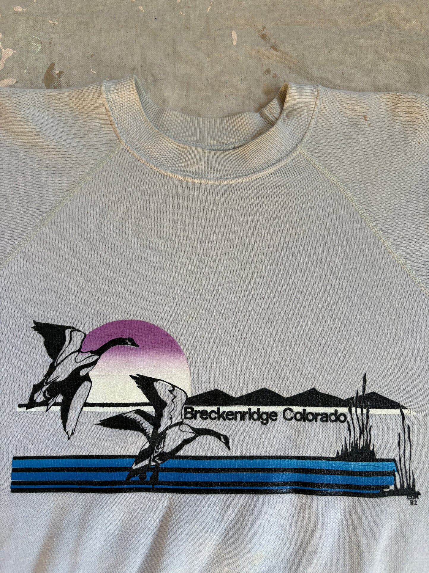 Vintage 80s Breckenridge Colorado Flying Geese Sweatshirt