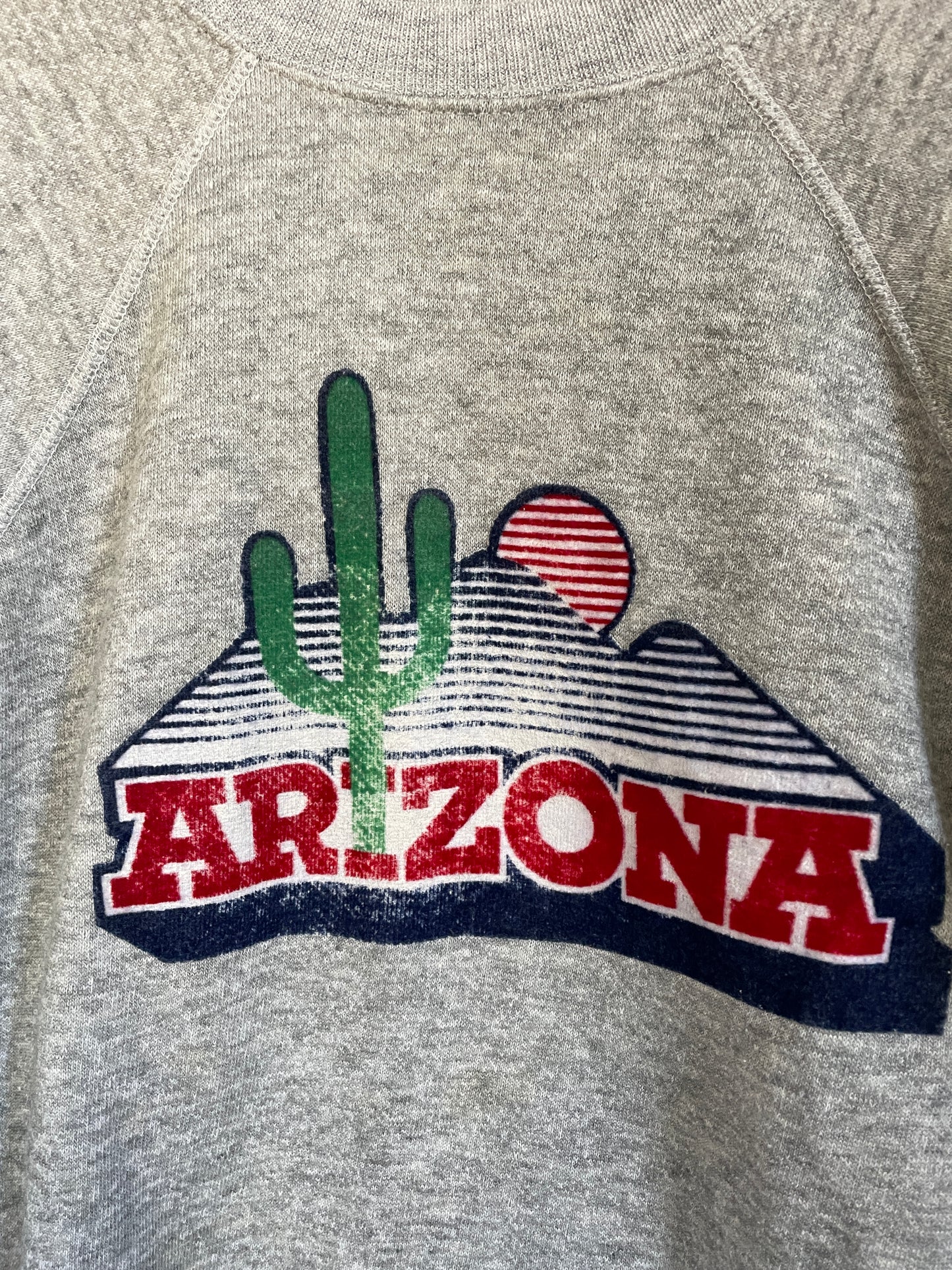 80s Arizona Flocked Sweatshirt