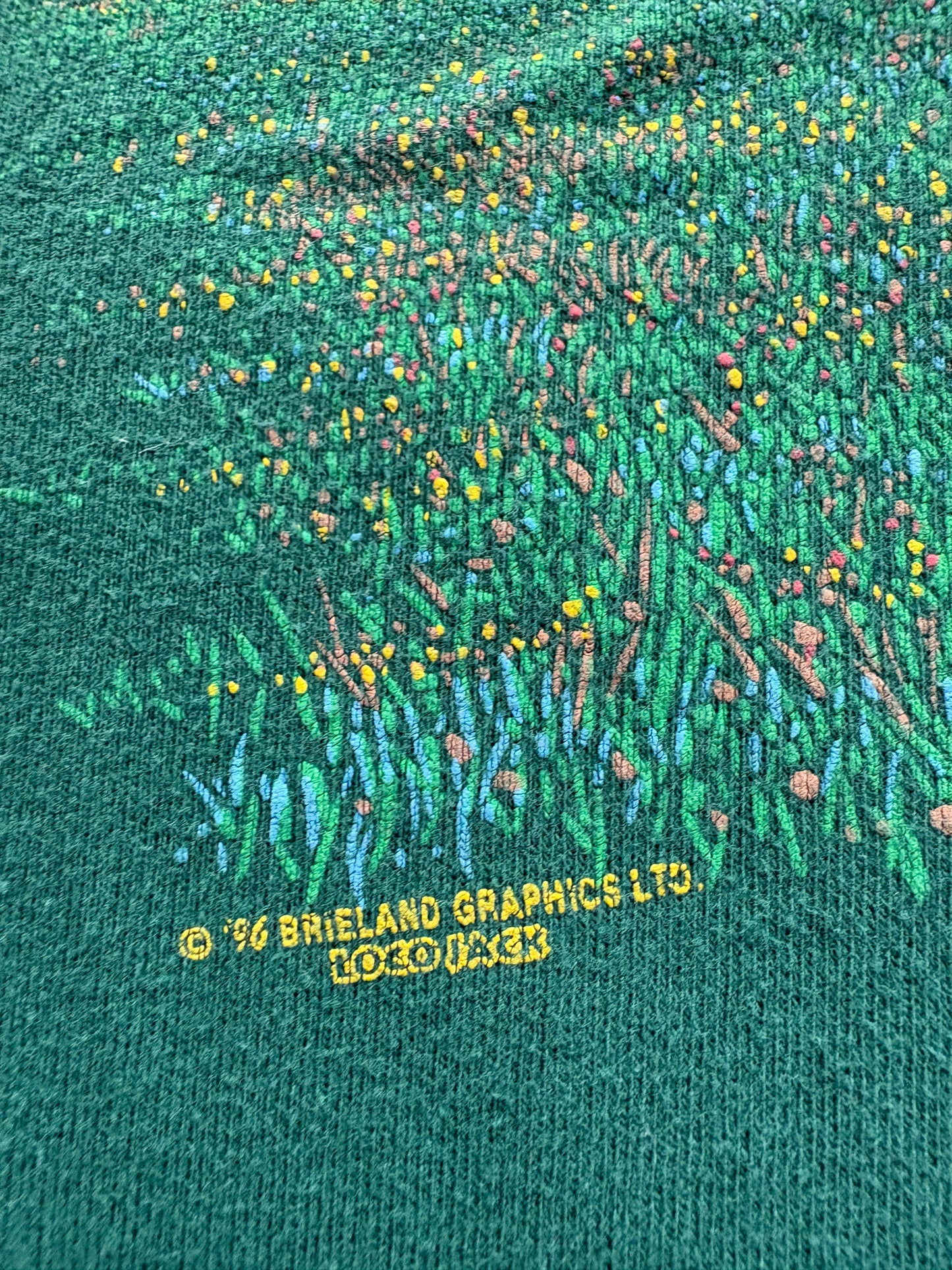 90s Green Colorado Barn Scene Tee