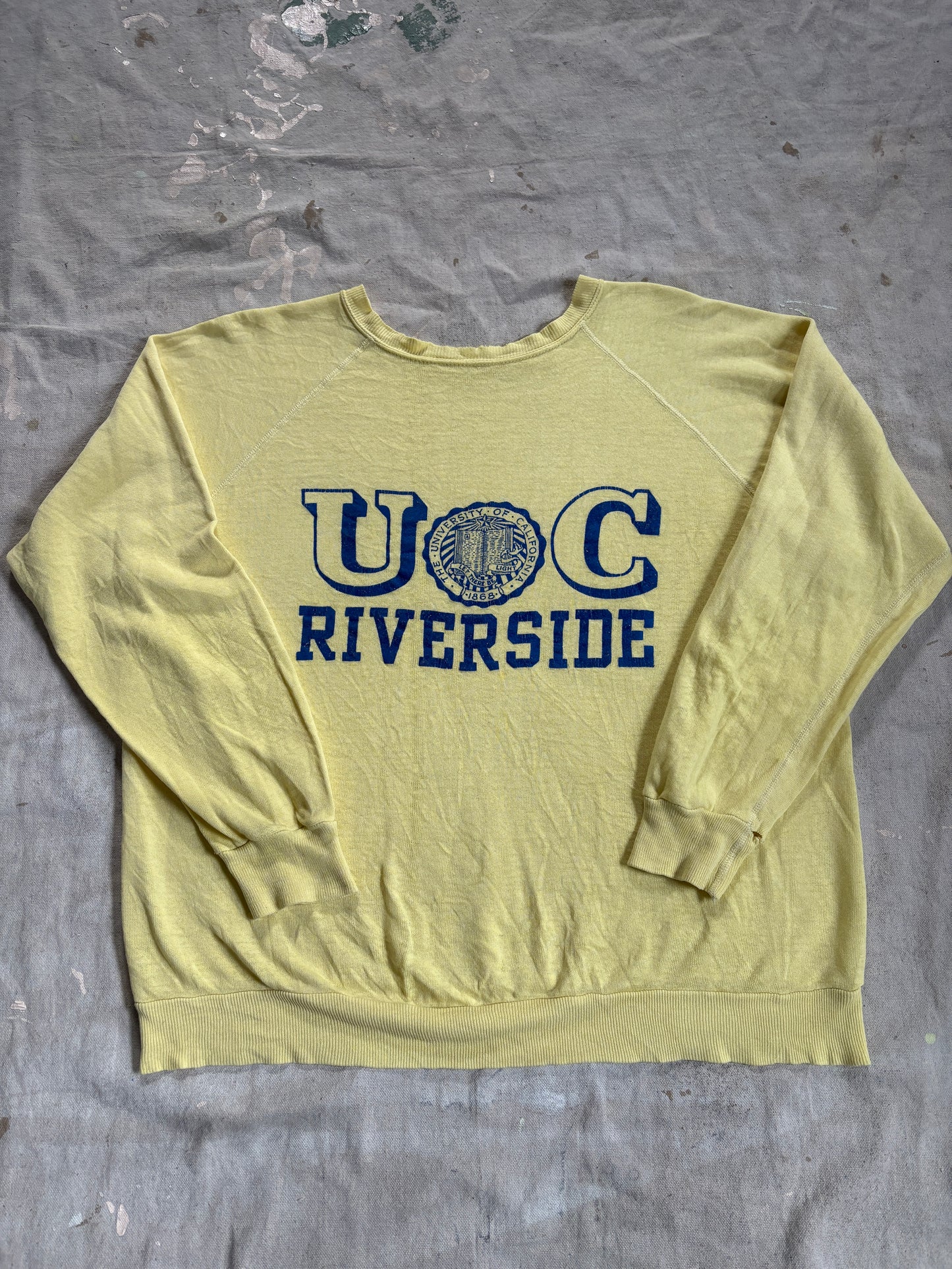 70s/80s UC Riverside Sweatshirt