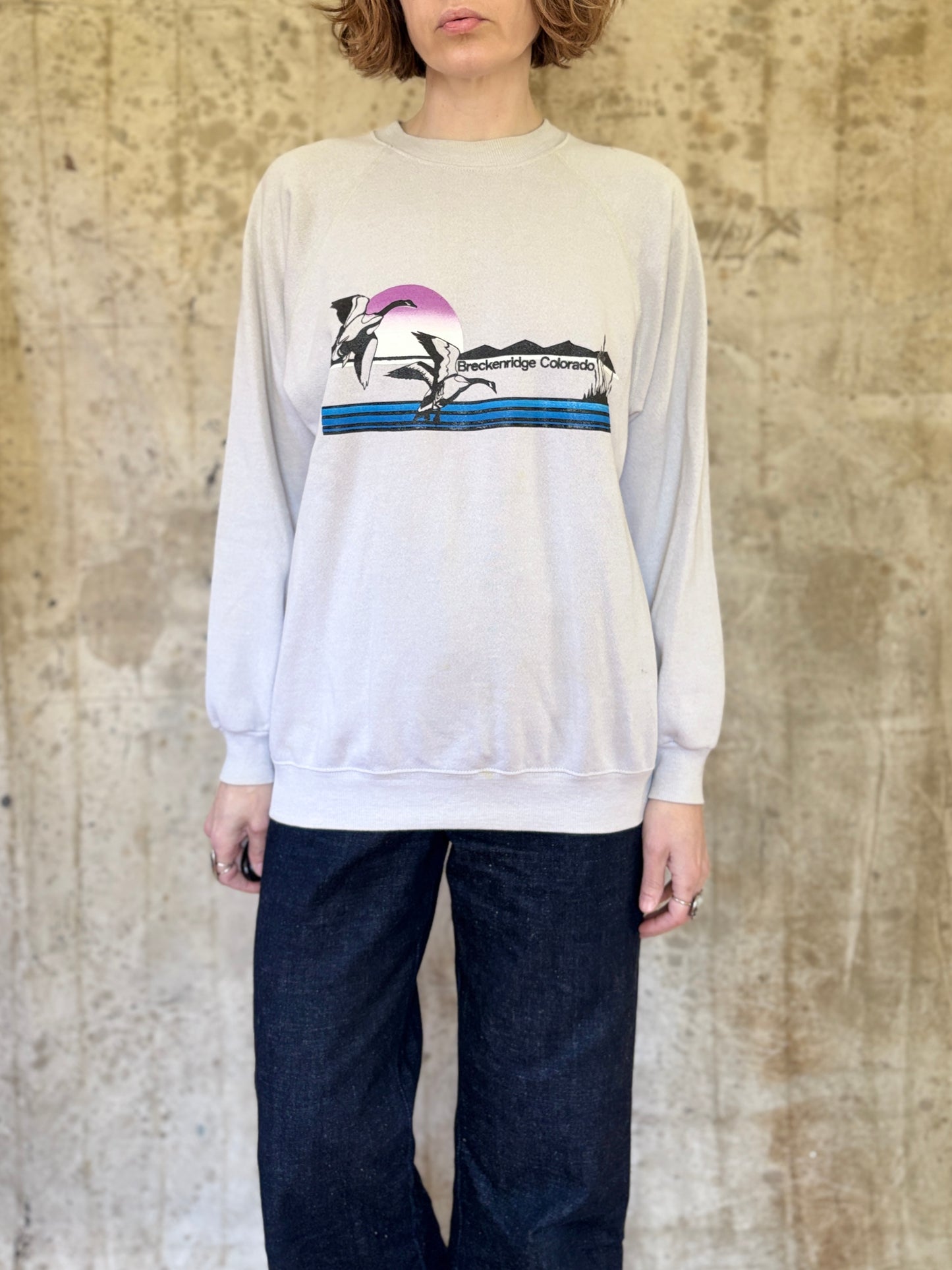 Vintage 80s Breckenridge Colorado Flying Geese Sweatshirt