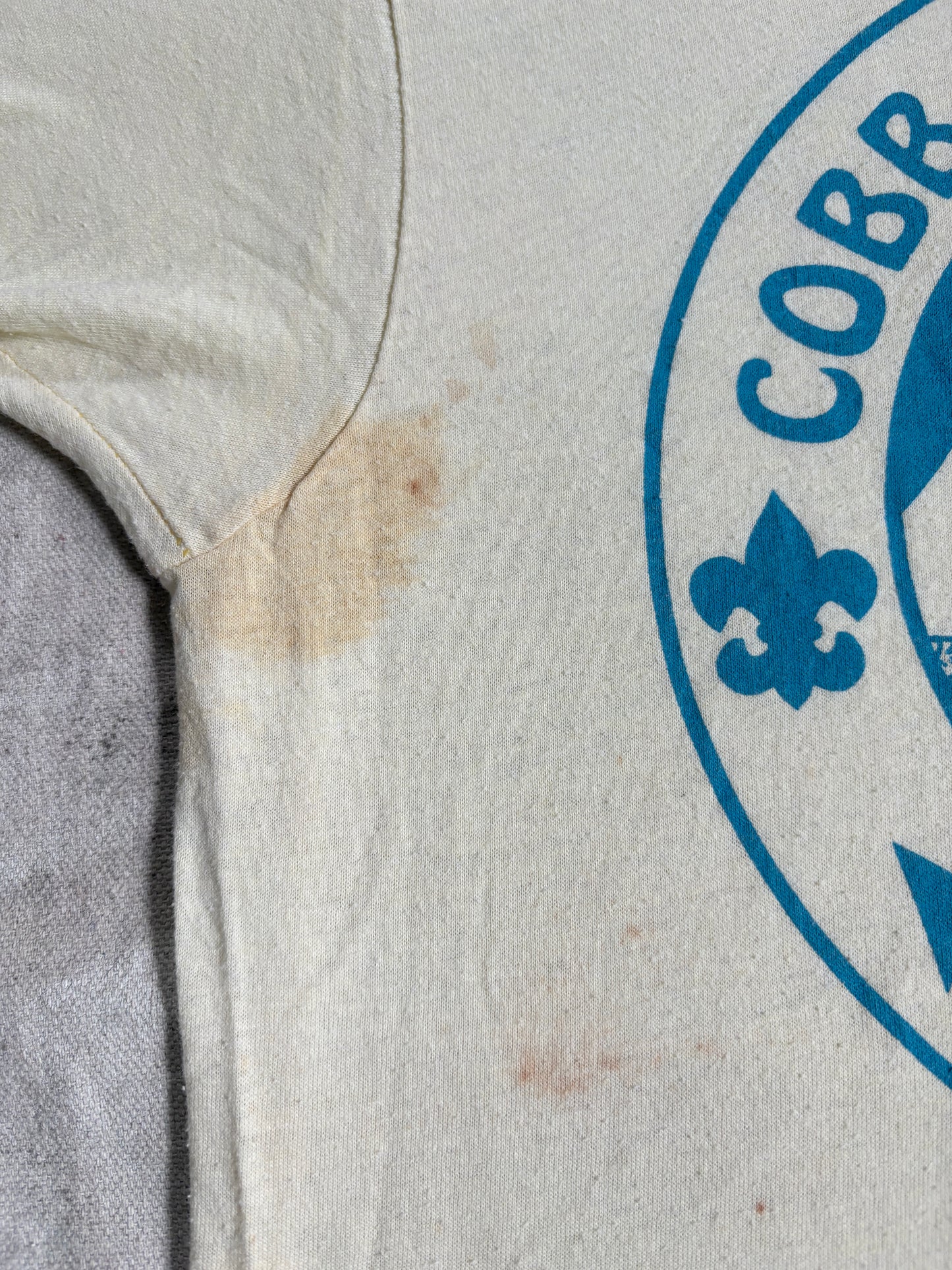 Vintage 90s BSA Cobb Cub Day Camp Tee