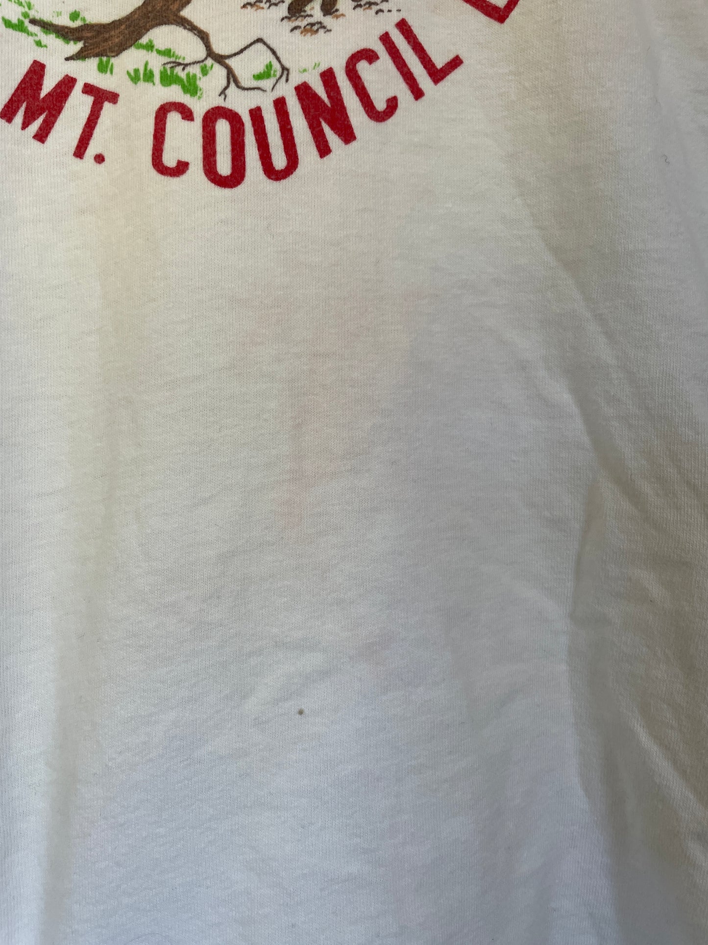 70s Wilderness Camp Blue Mt. Council BSA Tee