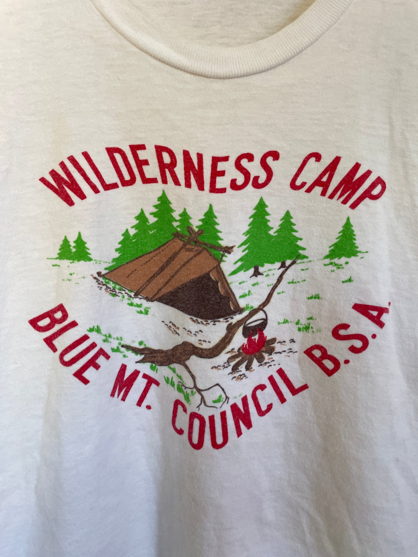 70s Wilderness Camp Blue Mt. Council BSA Tee