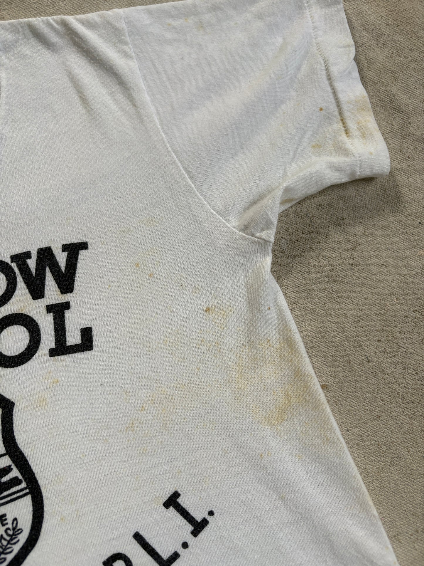 Vintage 70s Baldwin Harbor Long Island Meadow School Tee