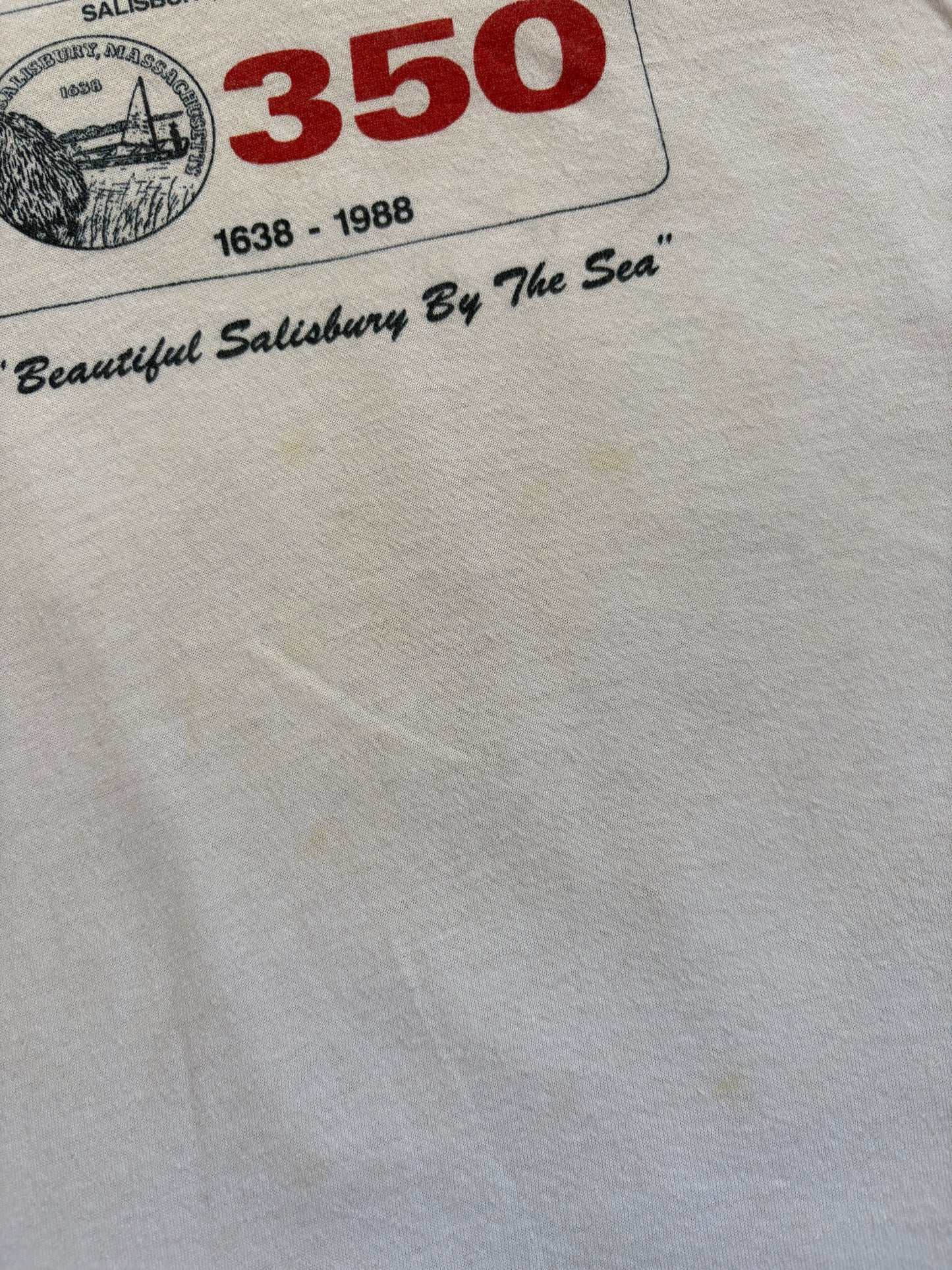Vintage 80s Beautiful Salisbury By The Sea Tee