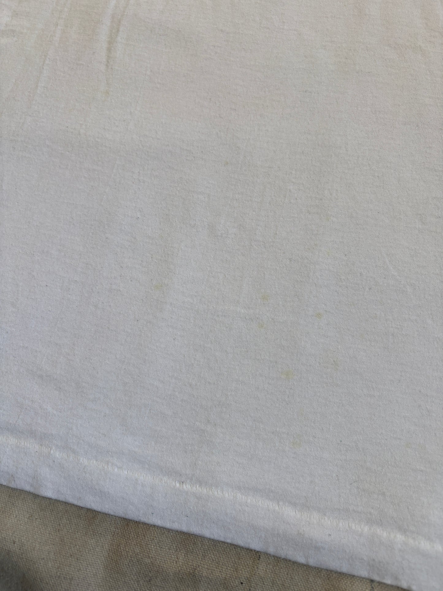 Vintage The 1991 Daring Duck Drop Tee