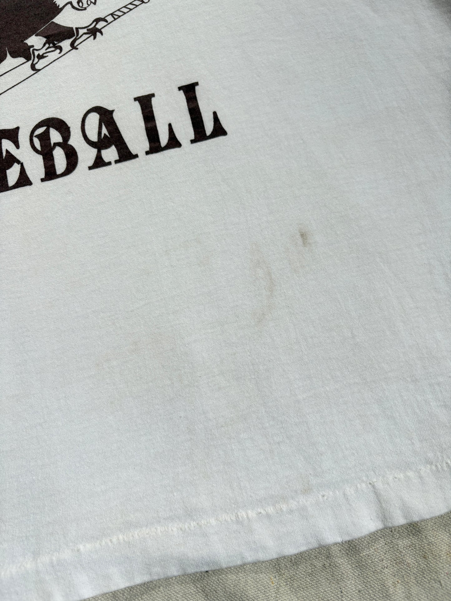 80s Pella Christian Eagles Baseball Tee