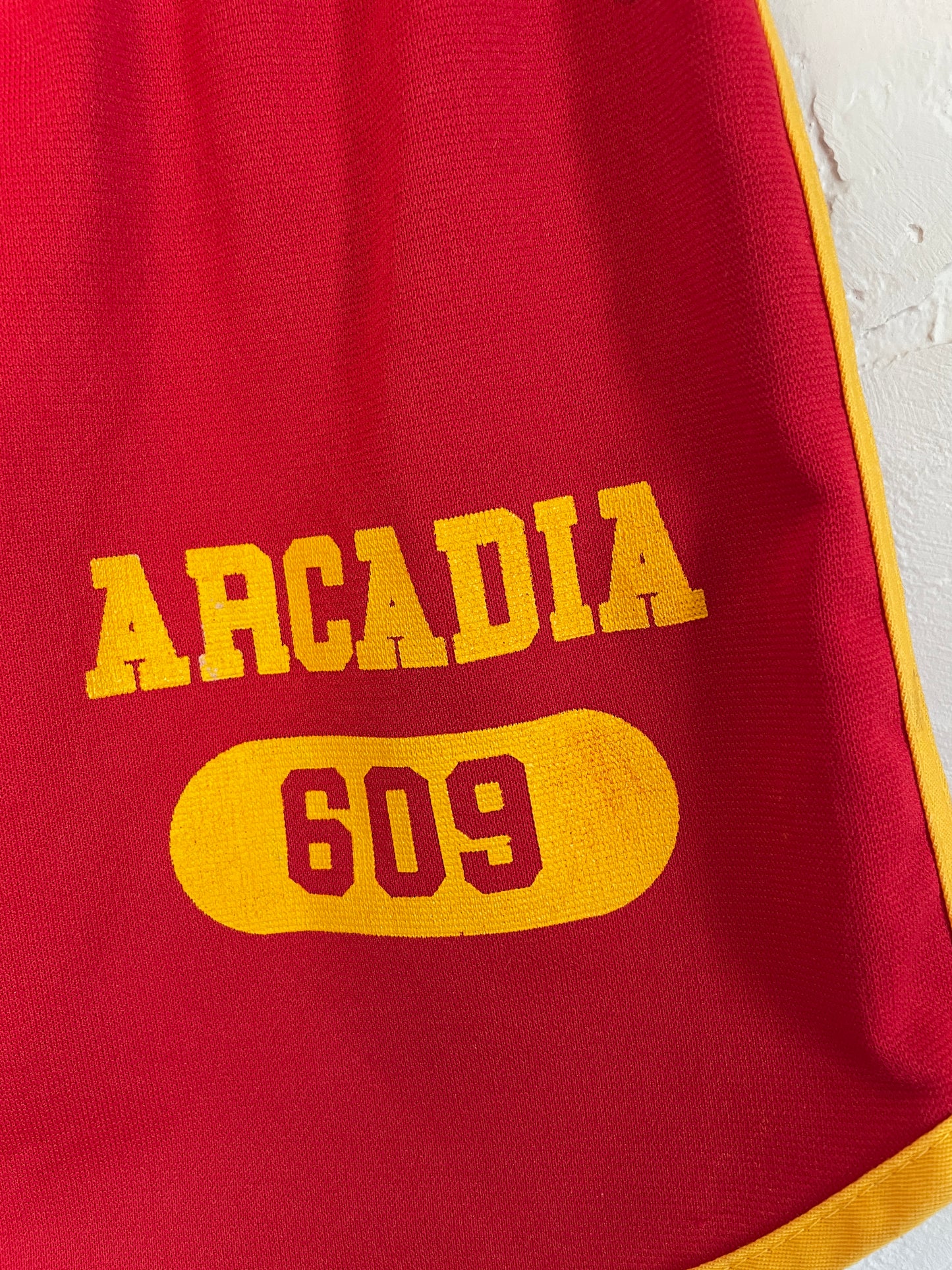 70s Arcadia Gym Shorts