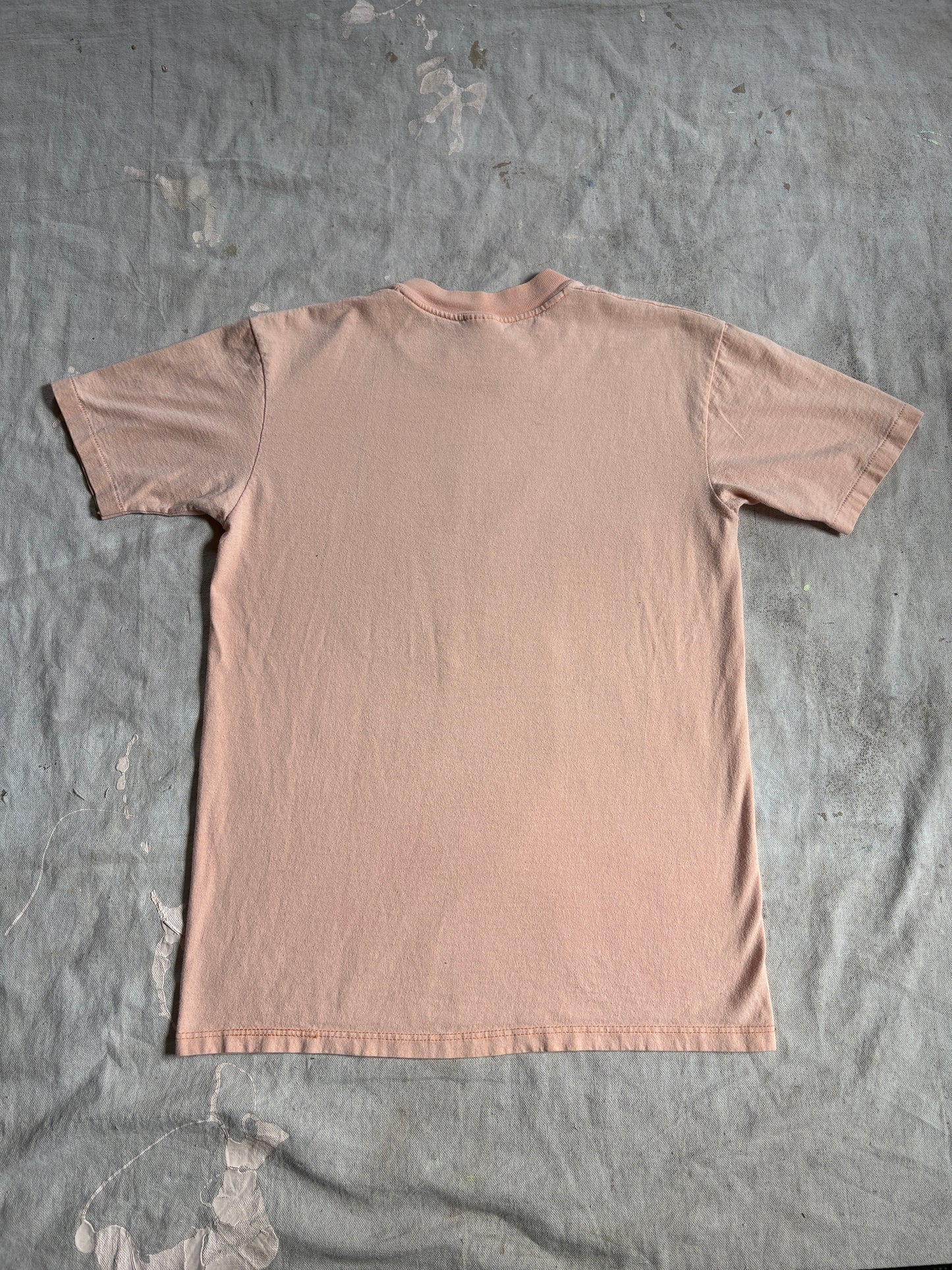 Vintage 80s Mt Rainier National Park Bird Tee